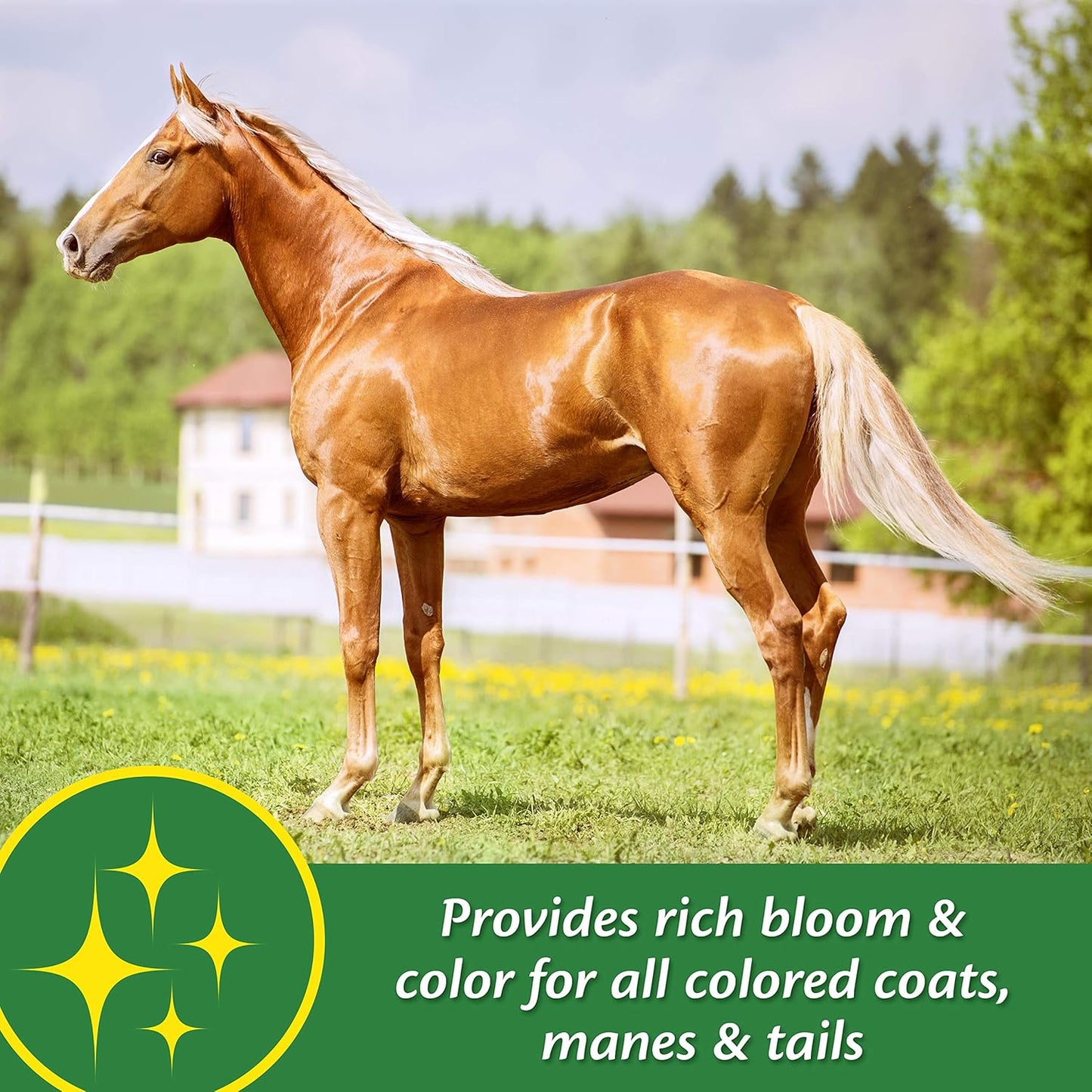 Farnam Super 14 Horse Supplement Promotes Healthy Skin & Shiny Coat - 2.75 lb, 44 Day Supply