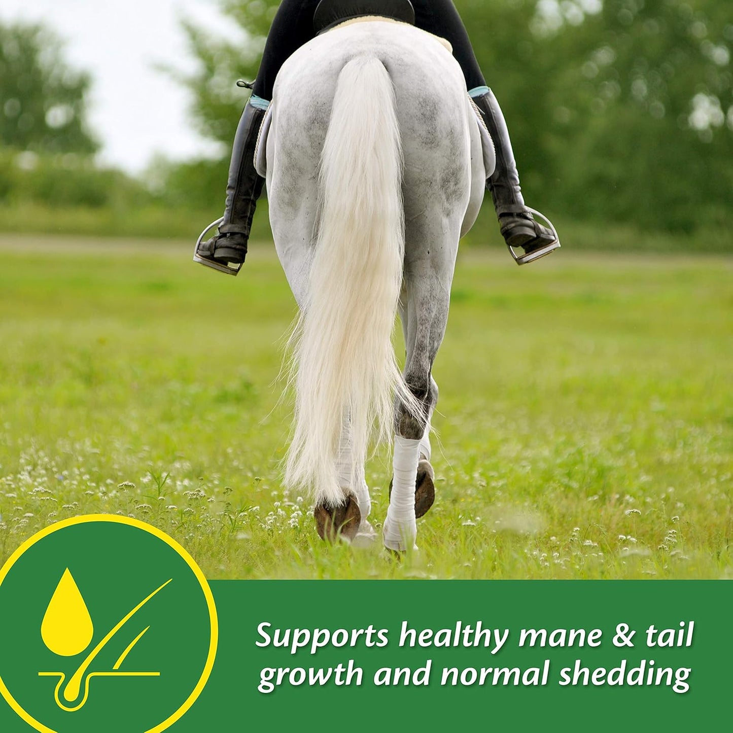 Farnam Super 14 Horse Supplement Promotes Healthy Skin & Shiny Coat - 2.75 lb, 44 Day Supply