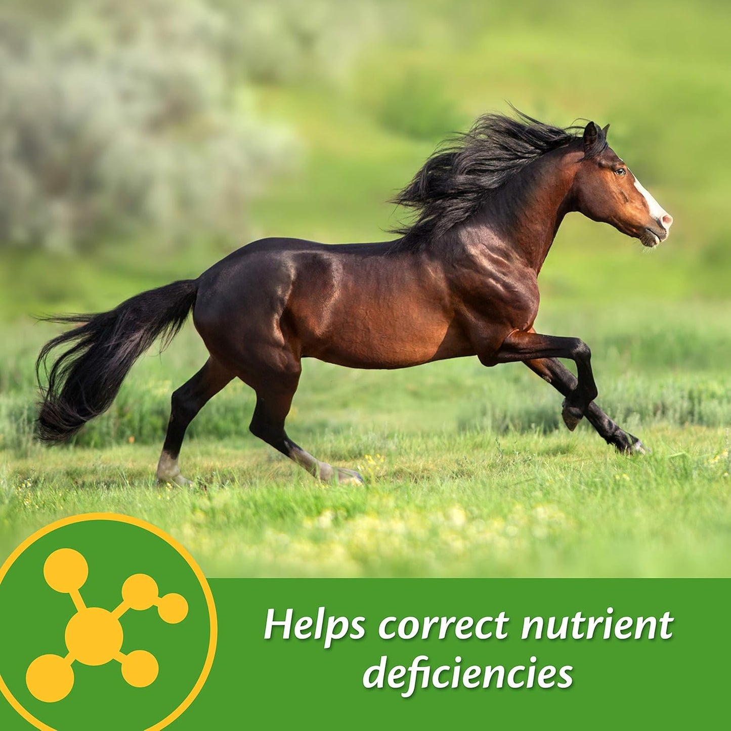 Farnam Vita-Min E & Selenium Antioxidant Supplement, 3lb Tub - 96 Day Supply