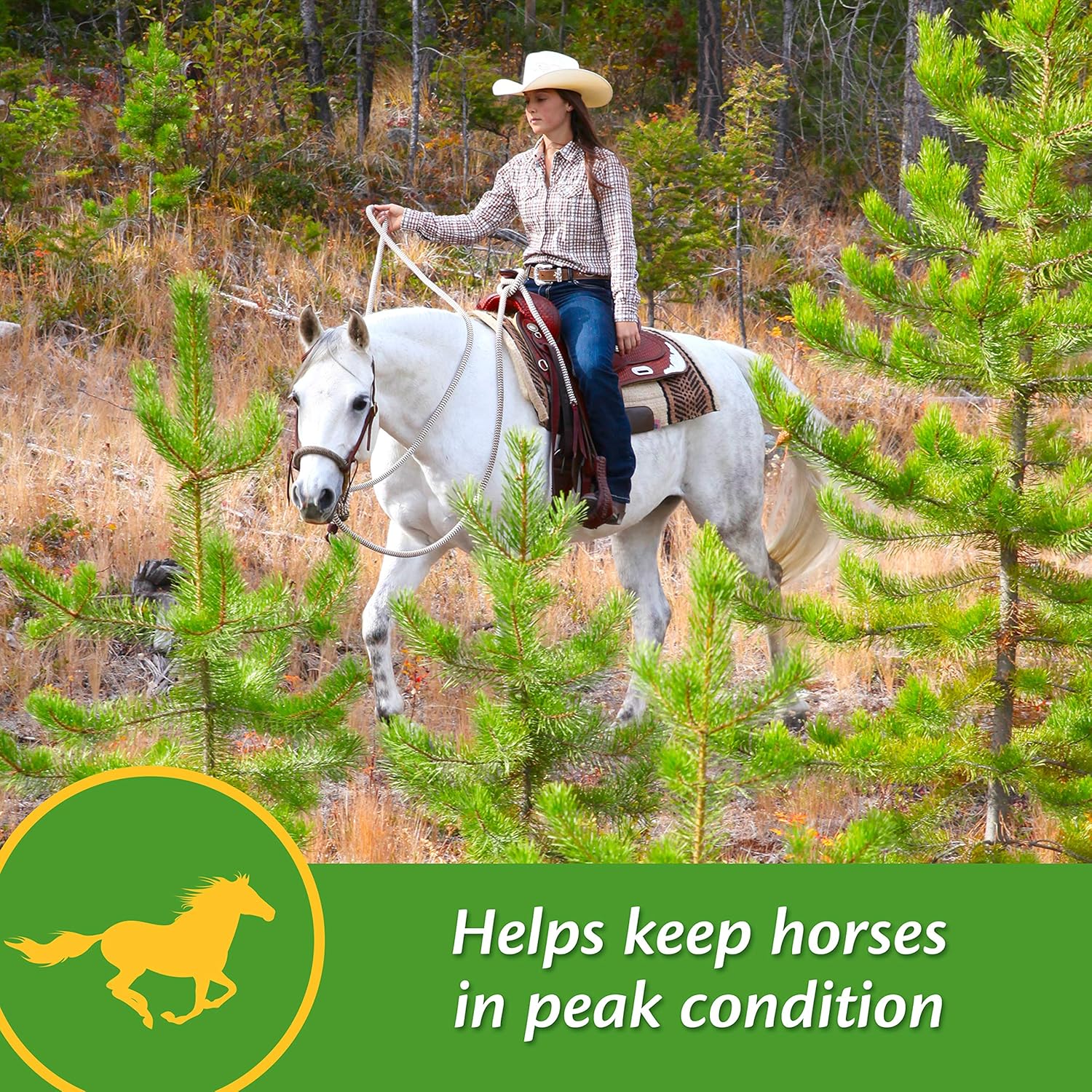 Farnam Vita-Min E & Selenium Antioxidant Supplement, 3lb Tub - 96 Day Supply