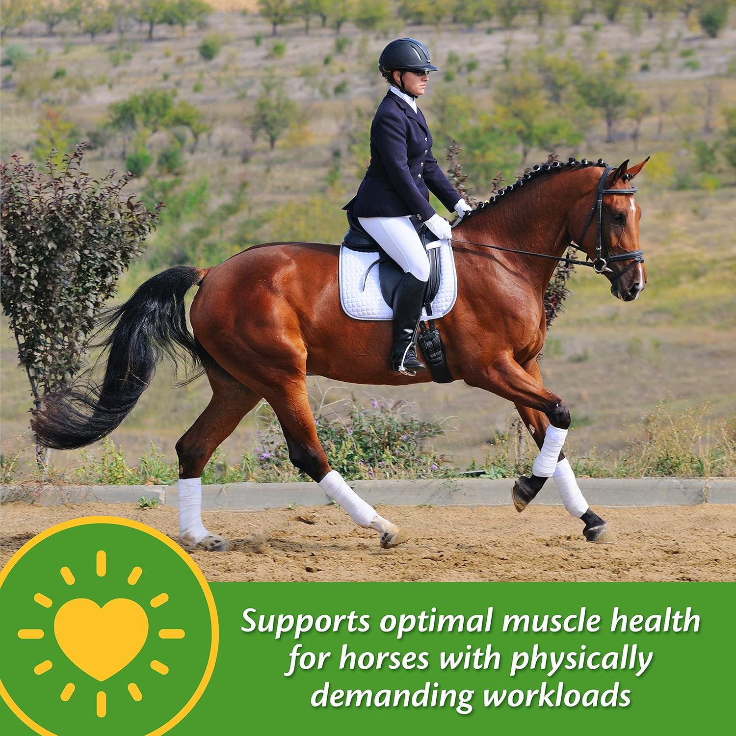 Farnam Vita-Min E & Selenium Antioxidant Supplement, 3lb Tub - 96 Day Supply