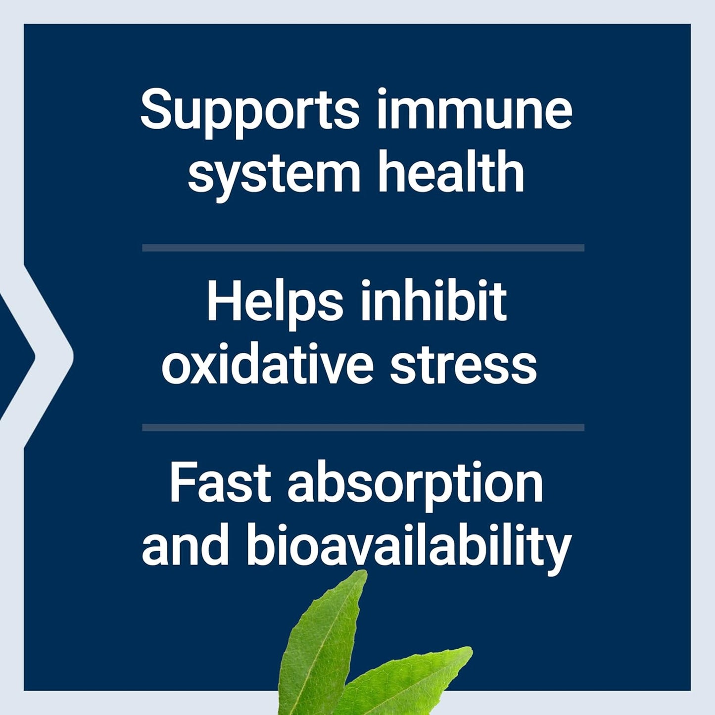 Fast-Absorbing Life Extension Fast-C® and Bio-Quercetin® Tablets for Immune Support with Vitamin C, Fenugreek, and Magnesium - Gluten-Free, Non-GMO, Vegetarian - 60 Tablets