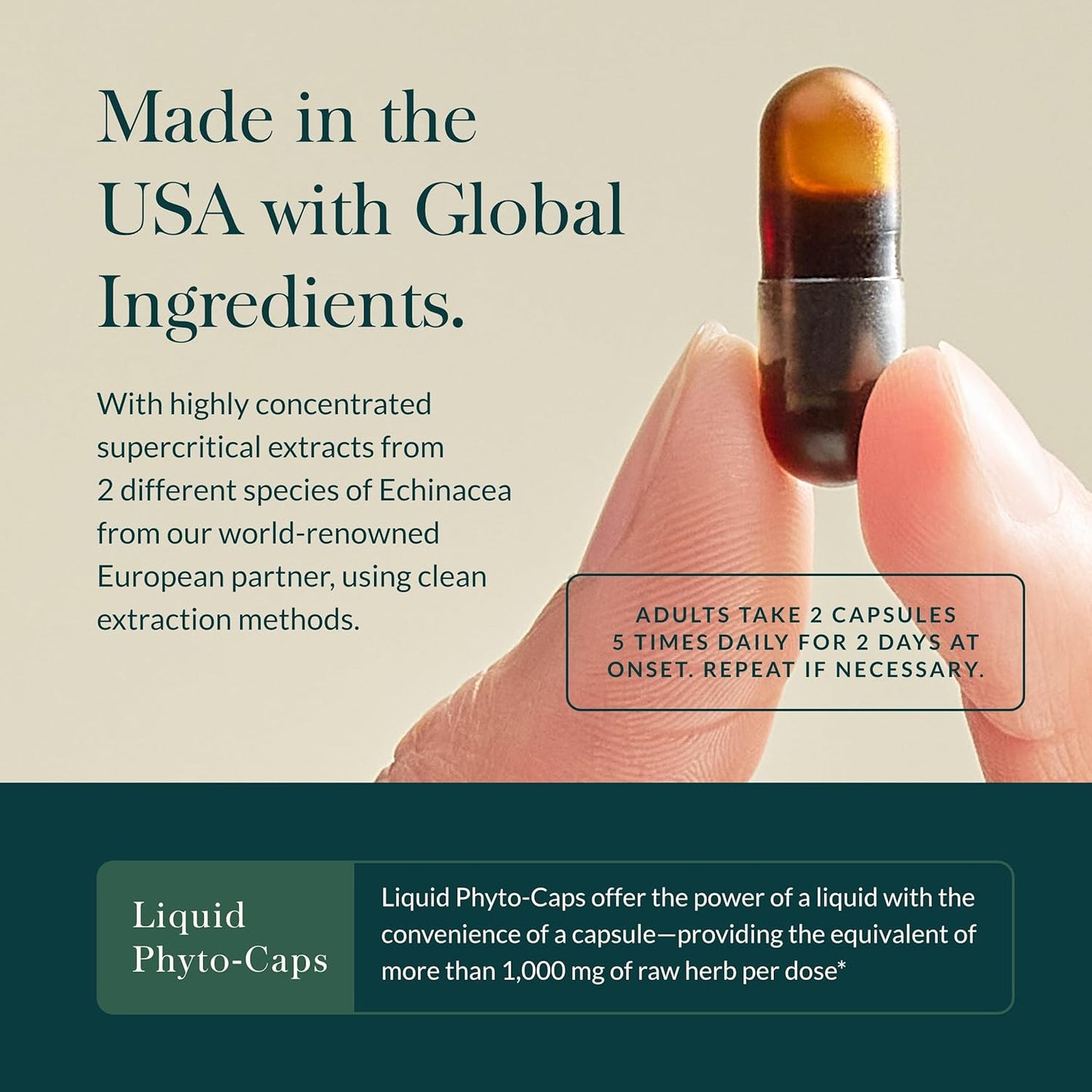 Fast-Acting Immune Support Supplement with Echinacea, Black Elderberry, Ginger & Andrographis - 20 Vegan Liquid Phyto-Capsules