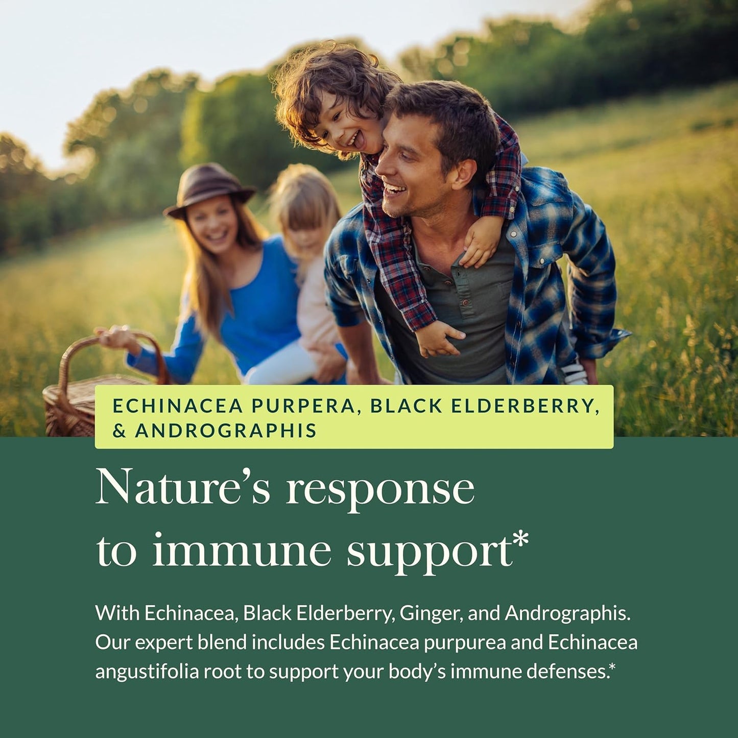 Fast-Acting Immune Support Supplement with Echinacea, Black Elderberry, Ginger & Andrographis - 20 Vegan Liquid Phyto-Capsules