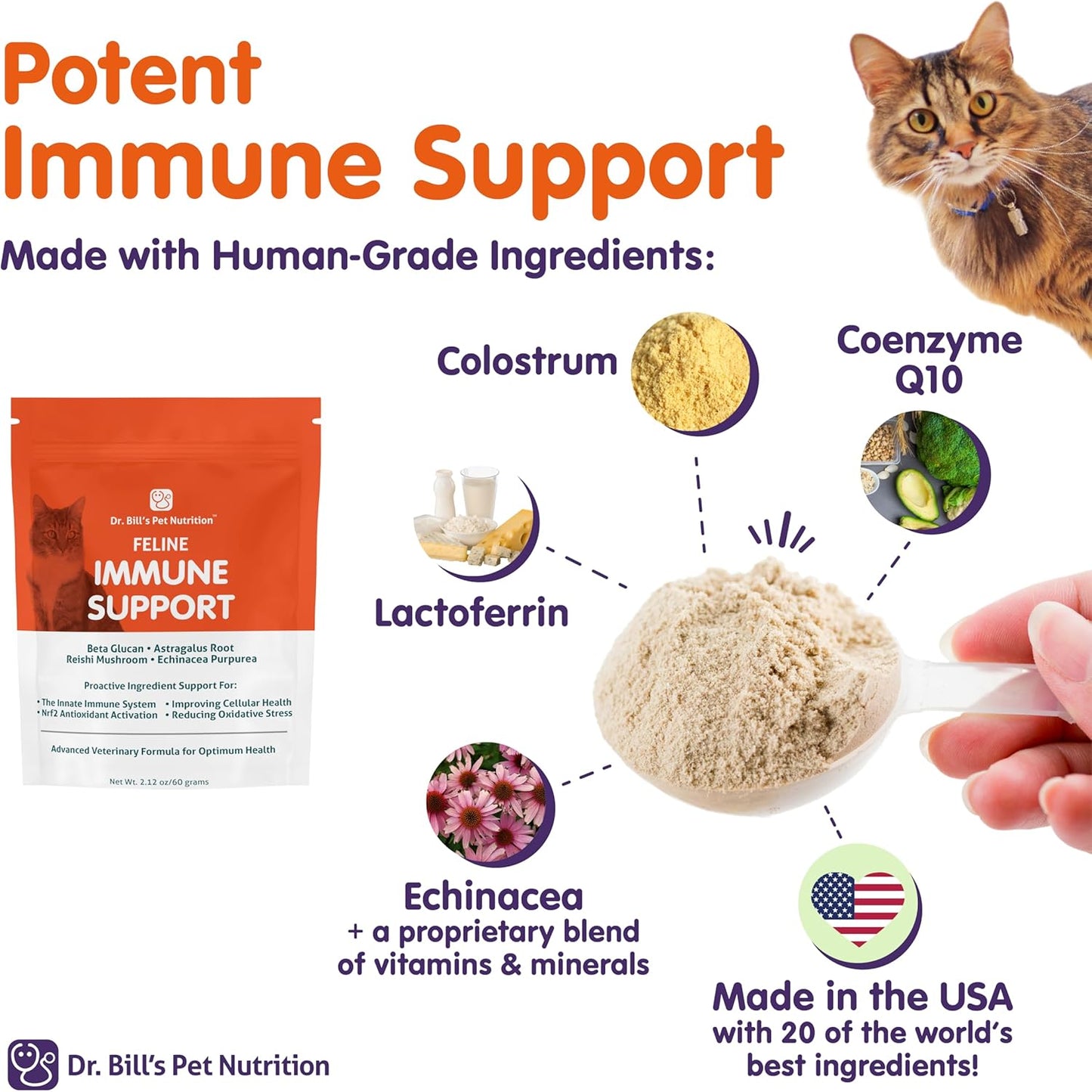 Feline Immune Support Vitamins with Colostrum, Beta Glucan, and Zinc for Cats | Dr. Bill’s Cat Supplements with Lactoferrin and Coenzyme Q-10