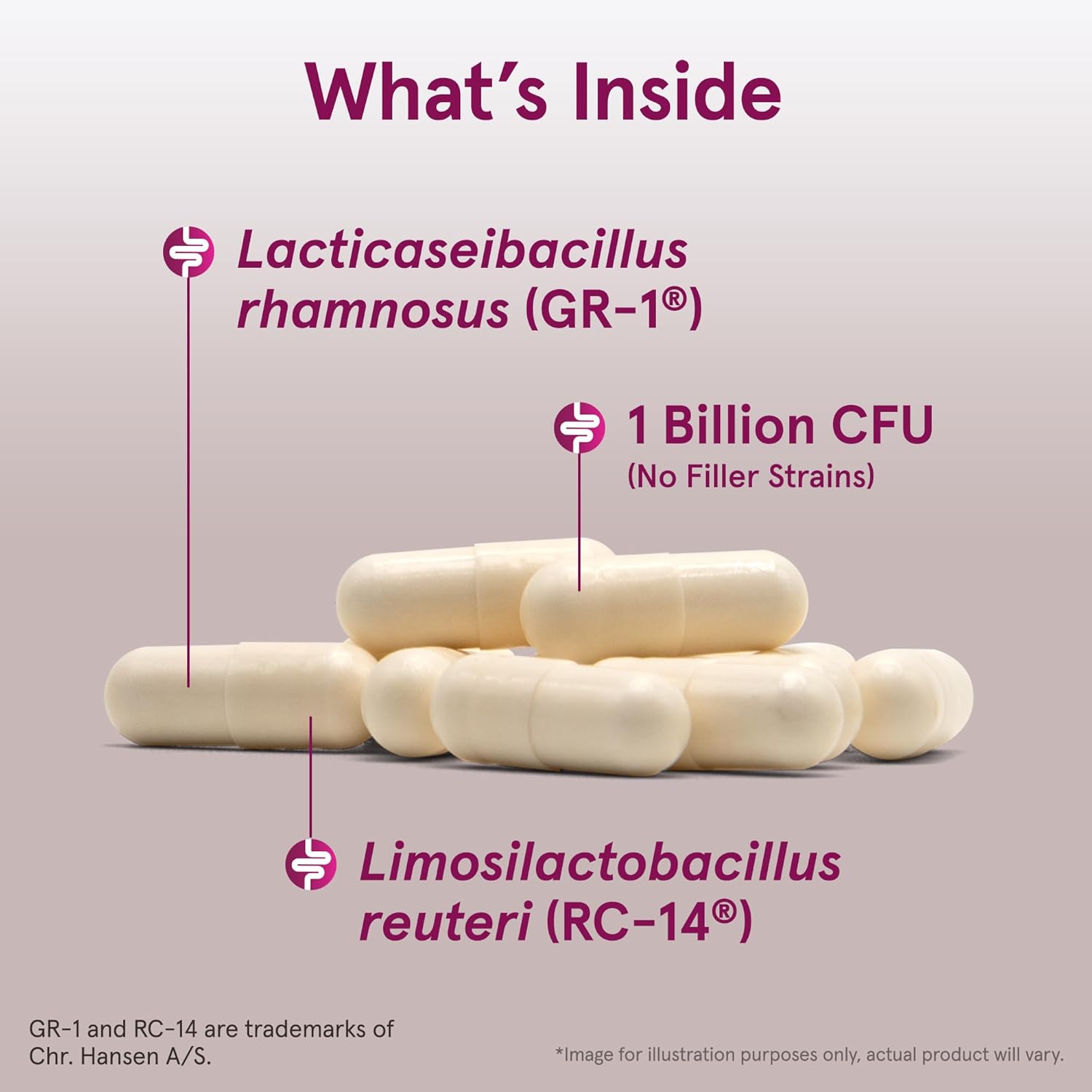 Fem-Dophilus Probiotic Capsules for Vaginal and Urinary Tract Health, 60 Veggie Capsules