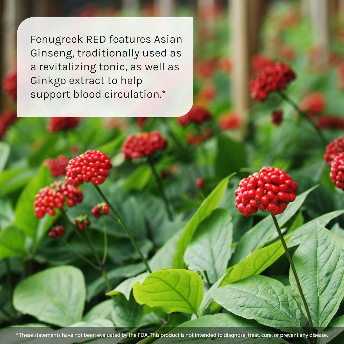 Fenugreek RED Liquid Soft-Gels with Asian Ginseng and Ginkgo Extract - 60 Count - Nitric Oxide Booster - 15 Servings