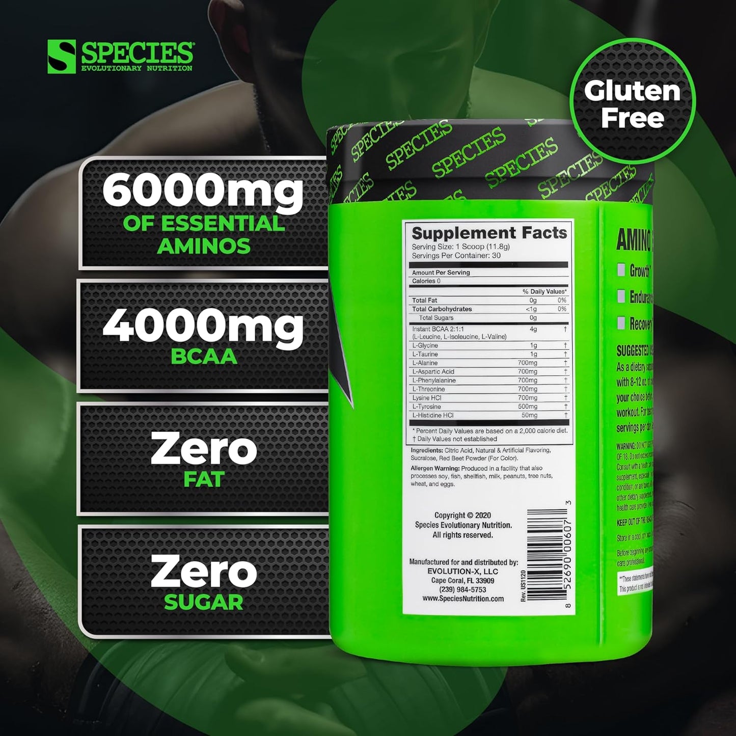 Fermented BCAA & EAA Powder for Muscle Recovery & Endurance - Pre & Post Workout Supplement (Strawberry Watermelon, 30 Servings)