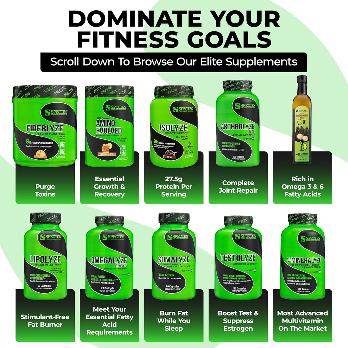 Fermented BCAA & EAA Powder for Muscle Recovery & Endurance - Pre & Post Workout Supplement (Strawberry Watermelon, 30 Servings)