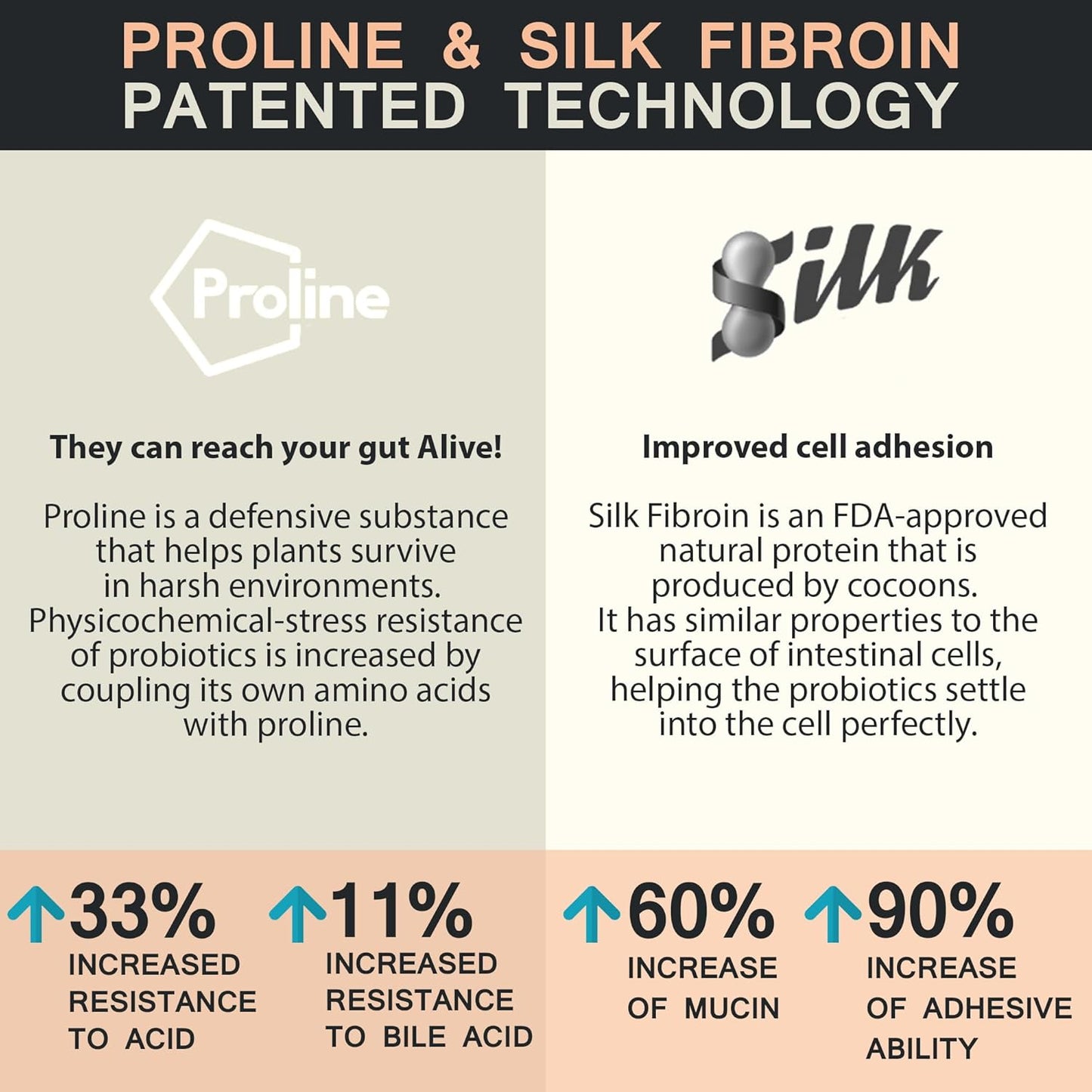 Fermented Korean Red Ginseng Synbiotic Powder Supplement for Energy, Stress Relief, Mood Support - 10 Count - Men and Women