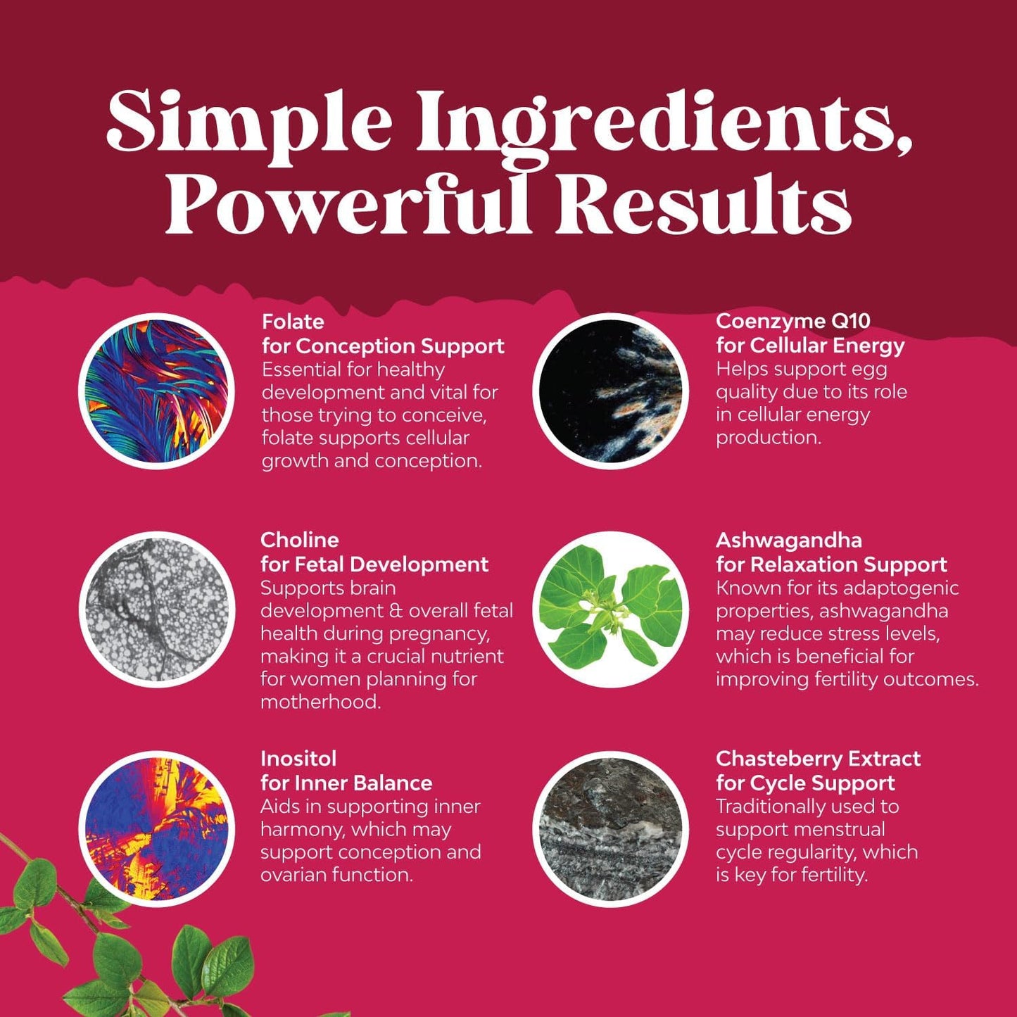 Fertility Gummies for Women - Myo-Inositol, Folic Acid & Vitex Chasteberry - Vegan & Gluten Free - Juicy Peach Flavor (60 Servings)