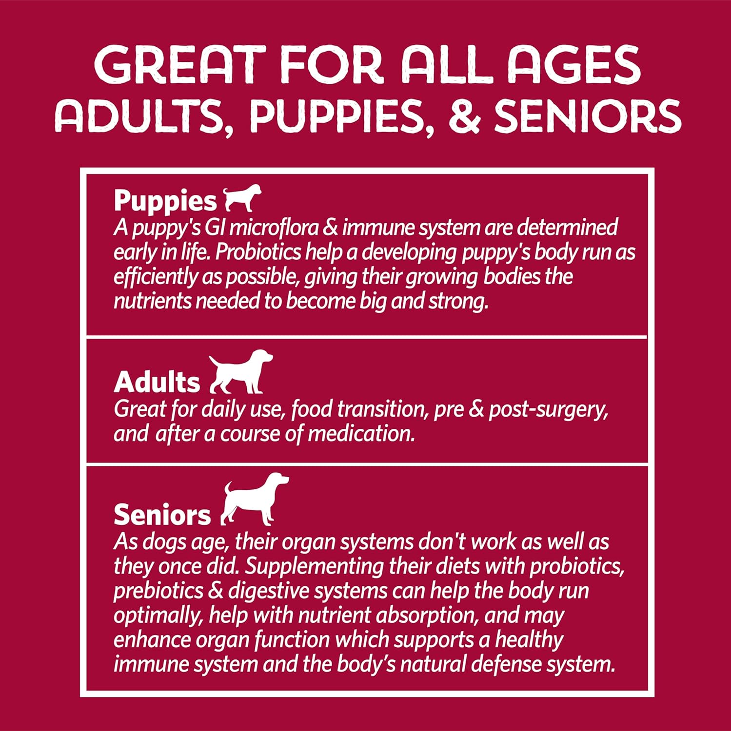 Fidobiotics Good Guts Probiotic for Dogs - 12 Billion CFUs, 11 Strains, 5 Enzymes - Digestive Gut Health for Adult & Puppy Dogs - 20 Day Supply