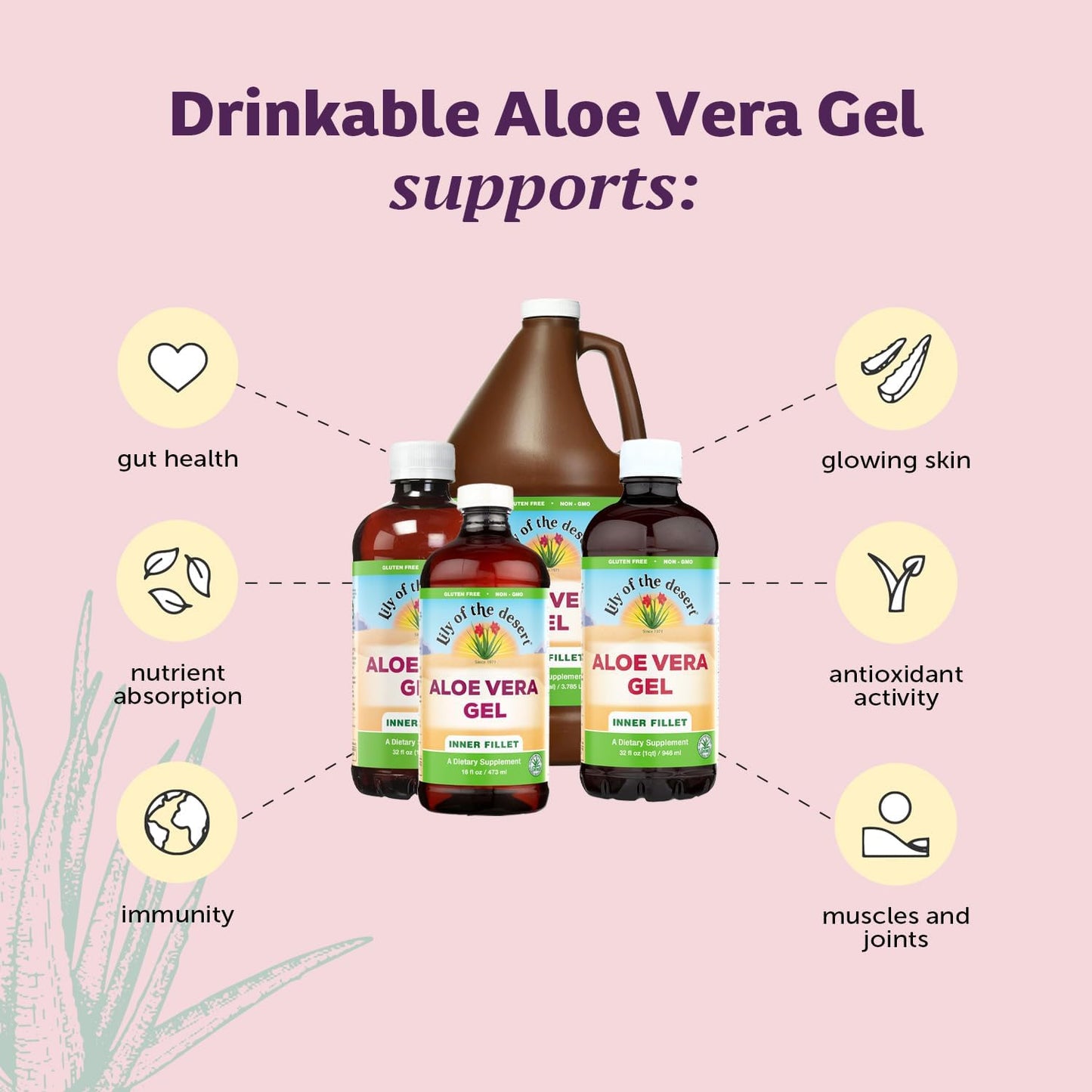Filtered Inner Fillet Aloe Vera Gel Drink - Thick Consistency, Natural Vitamins, Digestive Enzymes for Gut Health, Skin Wellness - 32 Fl Oz