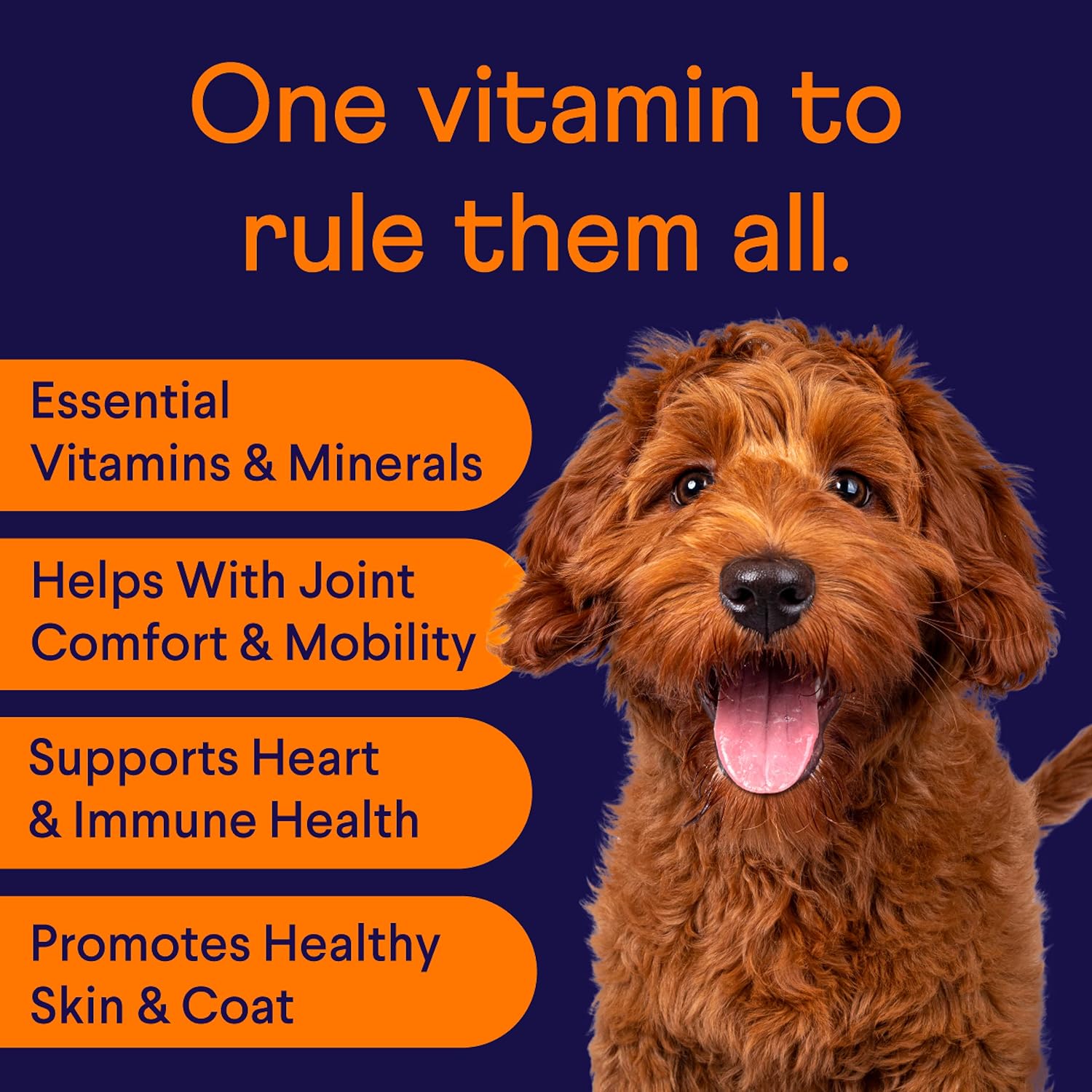 Finn All-in-1 Dog Multivitamin Soft Chews - Probiotics, Omega-3s, Glucosamine for Gut & Immune Health, Joint & Heart Support | 90 Chews