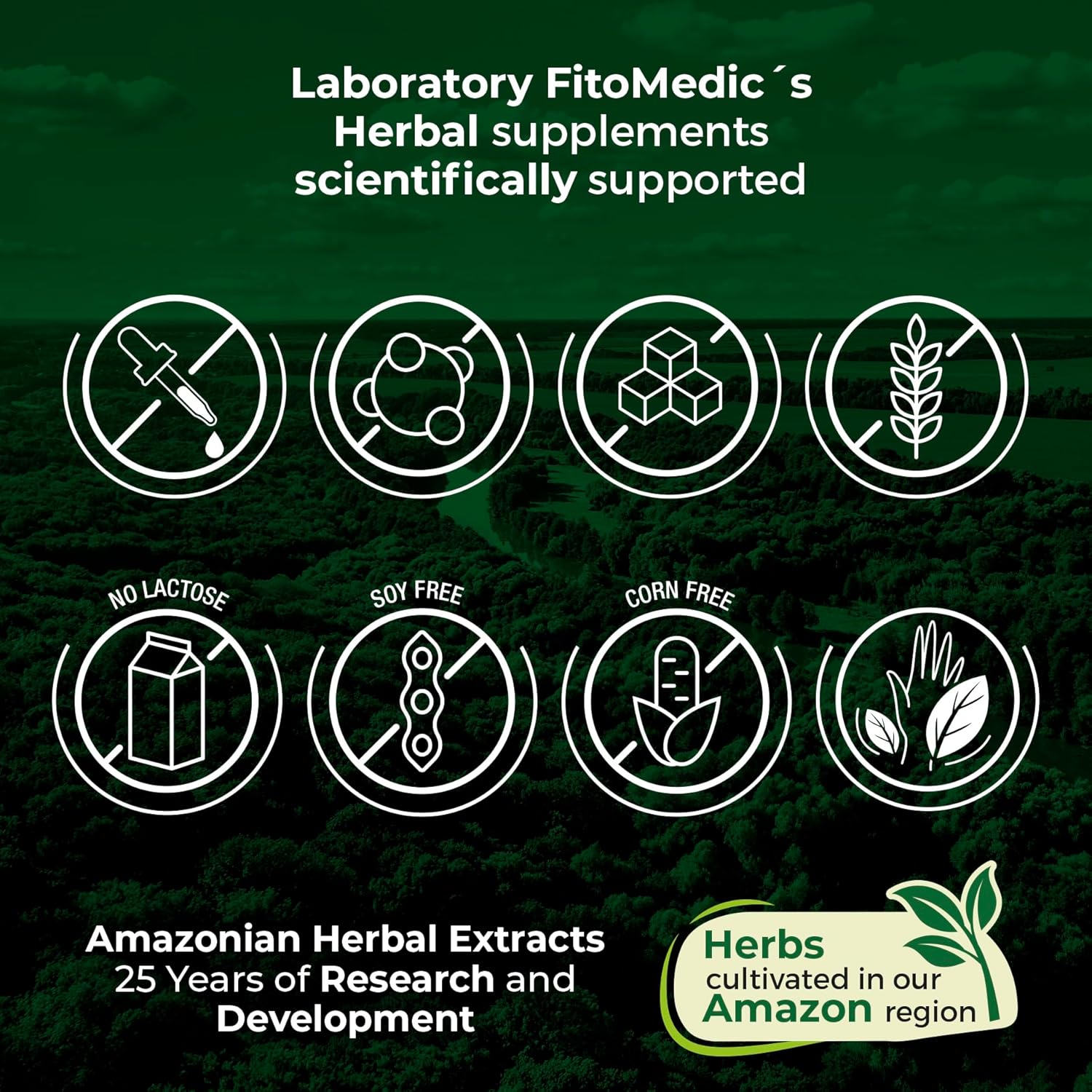 FITO MEDIC'S Lab Artichoke Extract Capsules 240 Count - 12000mg Supplement for Heart Health - Natural alcachofa Dietary Supplement