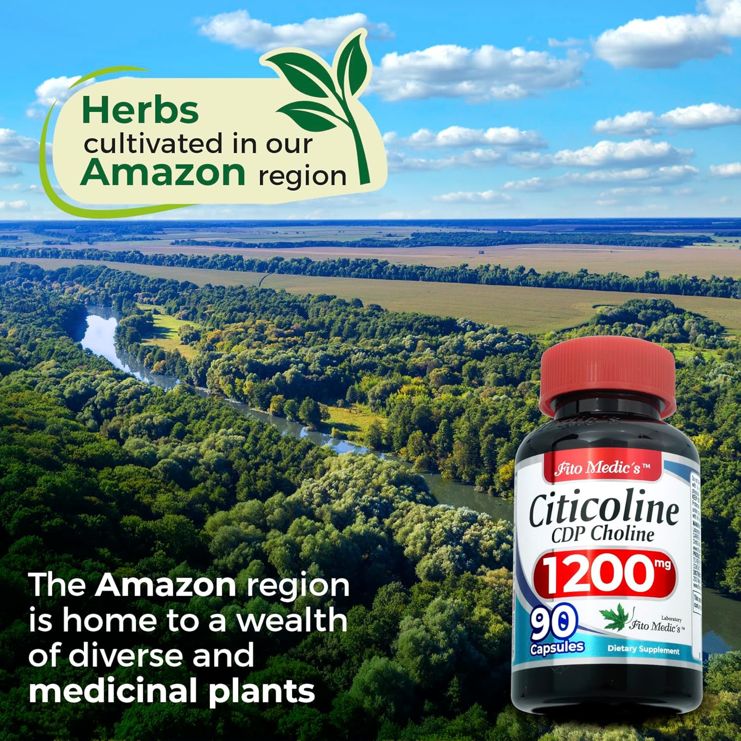 FITO MEDIC'S Lab Choline Supplements 1200mg 90 Caps - Citicoline CDP Choline Ultra High Absorption