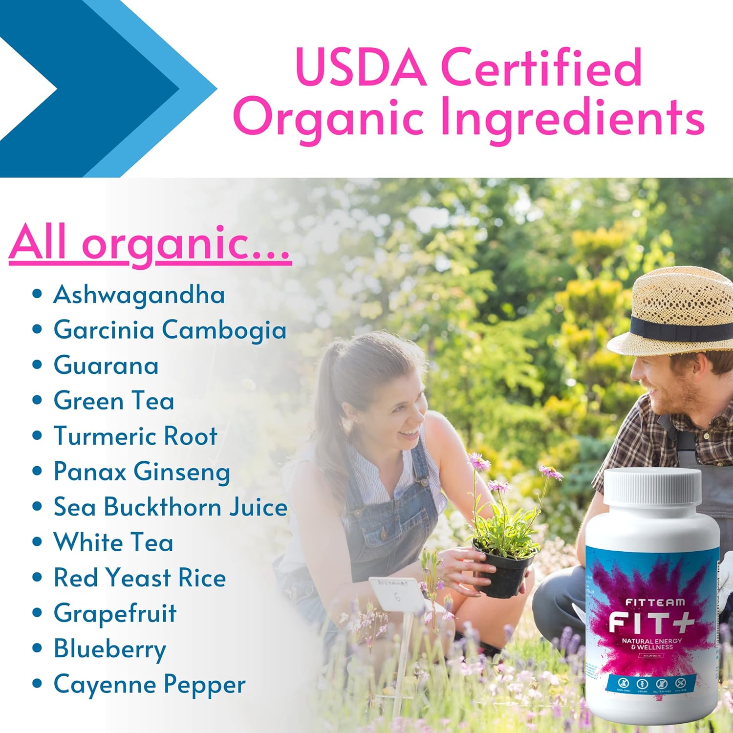 FITTEAM GLOBAL FIT Plus Organic Energy and Wellness Capsules - 60 Count - Natural Energy Vitamins for Mental Focus, Metabolism Boost, Mood Support, and Antioxidants