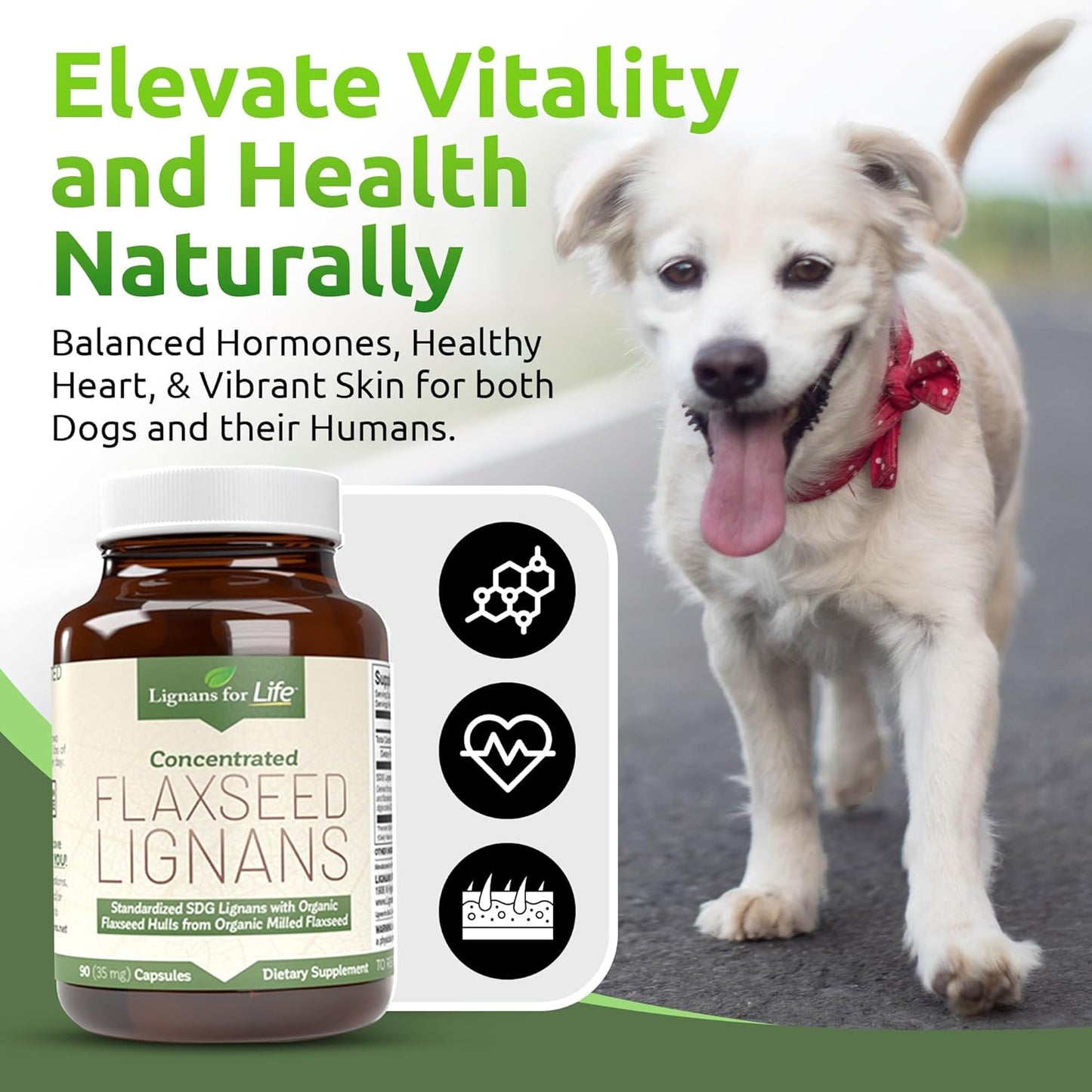 Flaxseed Lignans Capsules for Dogs - Omega 3 Fatty Acids, High Fiber Antioxidants for Shiny Coat, Digestive & Heart Health - 2 Pack, 35mg, 90 Capsules