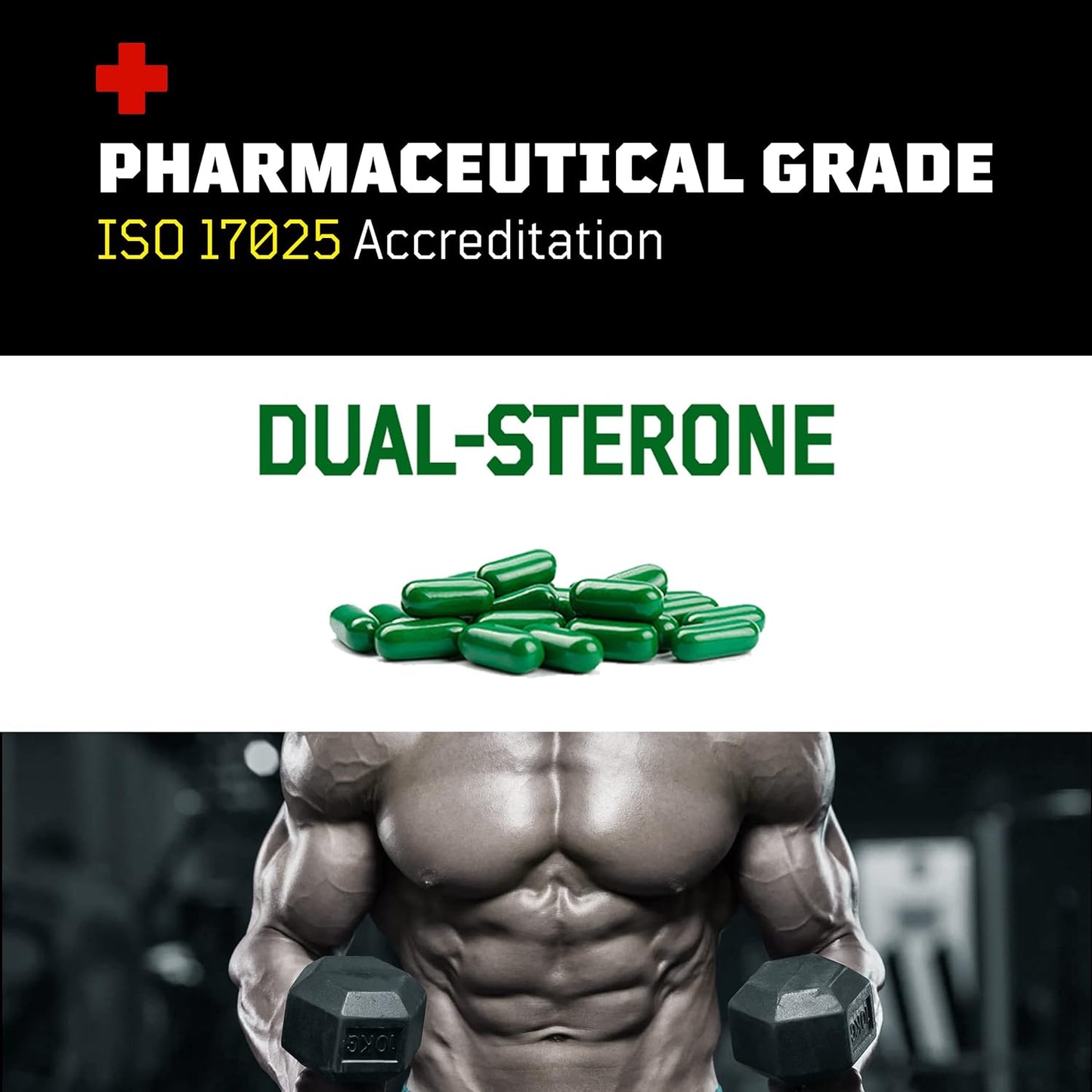 Flight Armour Turkesterone and Ecdysterone Anabolic Supplement - 2 Month Supply with ISO 17025 Certification - 1000mg - High Purity Formula