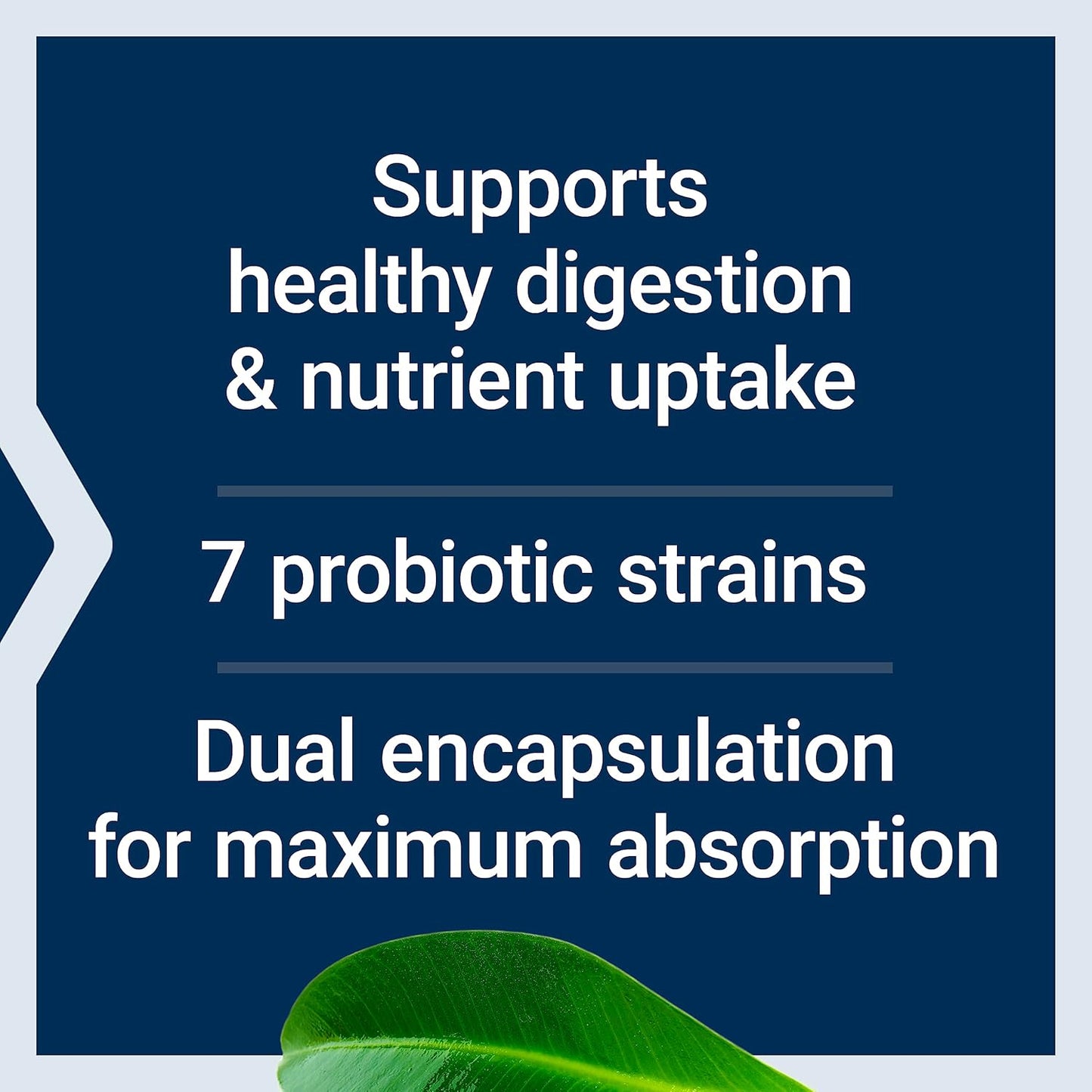 FLORASSIST GI with Phage Technology: Probiotic Support for Digestive Health, Nutrient Absorption - 30 Liquid Vegetarian Capsules