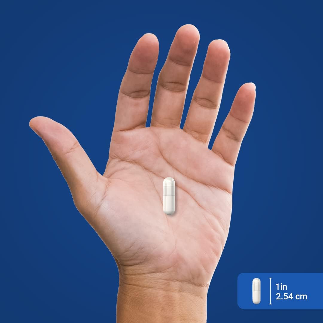 Flush Free Niacin 500mg Supplement - 240 Capsules, Vitamin B3, Non-GMO, Gluten Free