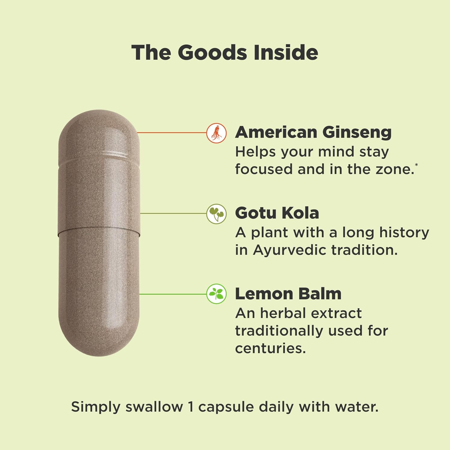 Focus Adaptogen & Ginseng Mood Support Supplement - 30 Vegetarian Capsules