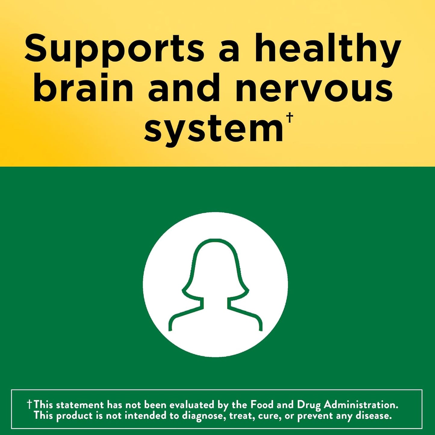 Folic Acid 400 mcg Supplement for Nervous System Function - 250 Tablets