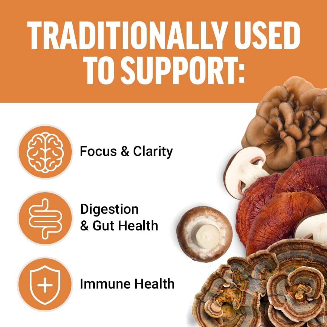 Force Factor Modern Mushrooms Soft Chews - Energy, Focus, Immunity, Digestion Support with Lions Mane, Turkey Tail, & Cordyceps - Cinnamon Roll - 60 Chews
