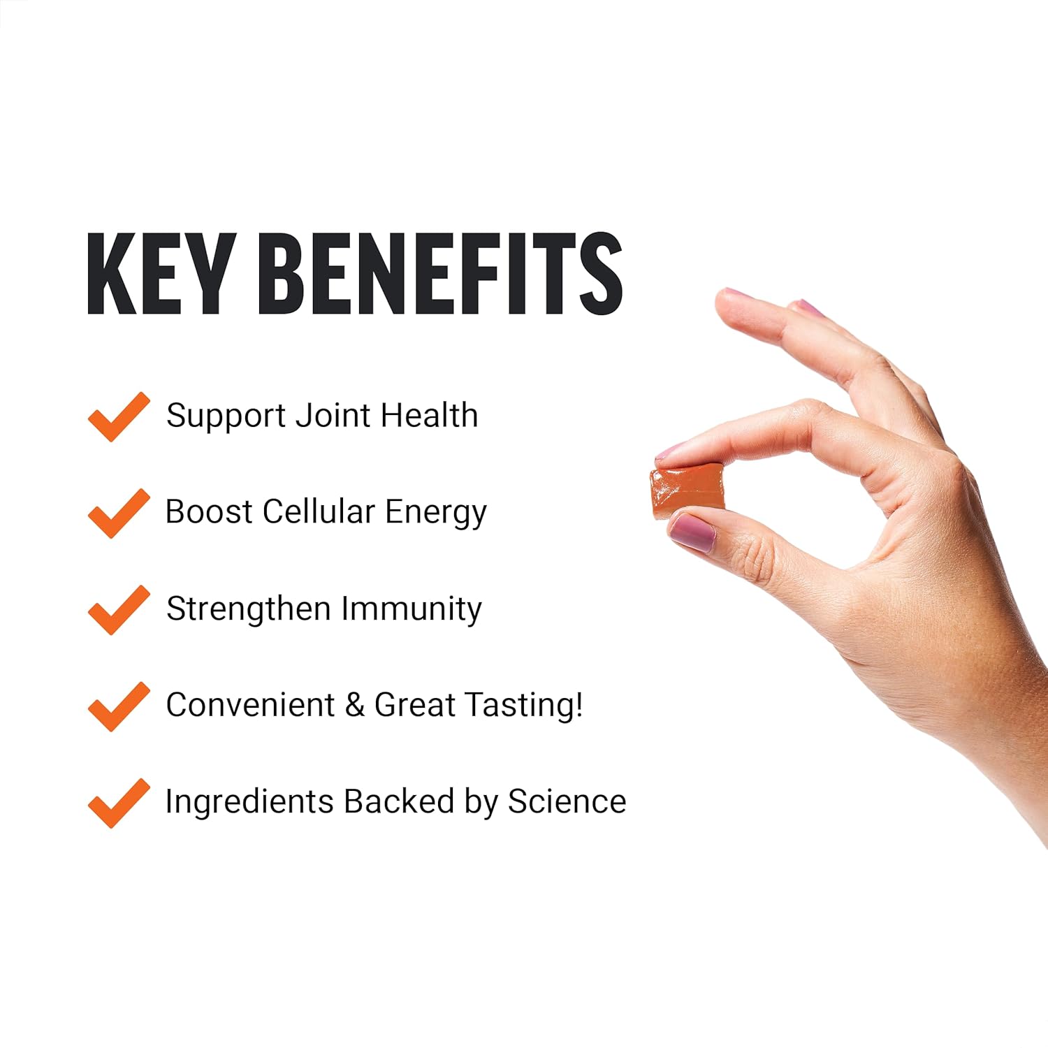 Force Factor Total Beets Nitric Oxide Powder with Turmeric Curcumin for Circulation and Joint Support