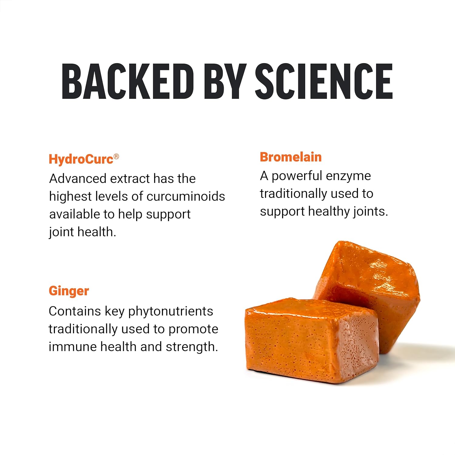 Force Factor Total Beets Nitric Oxide Powder with Turmeric Curcumin for Circulation and Joint Support