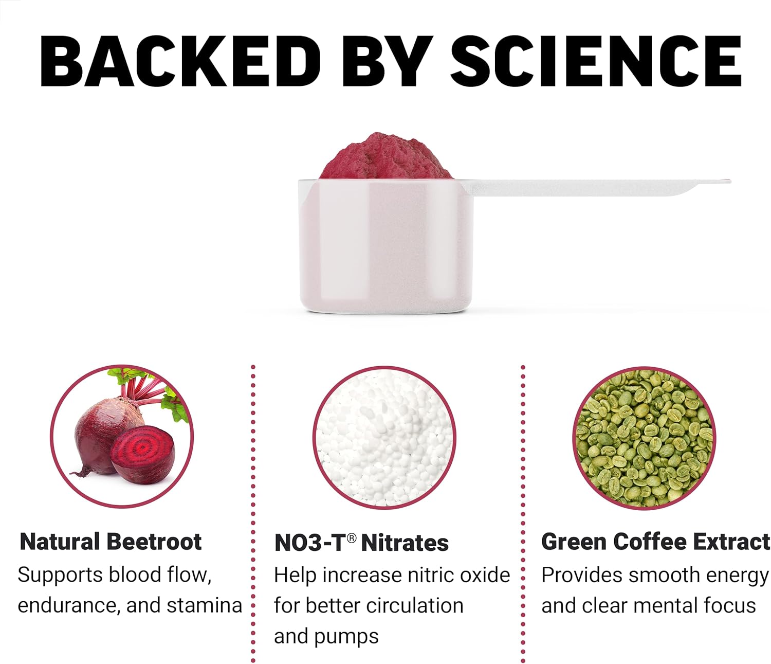 FORCE FACTOR Total Beets Pre-Workout Powder - Boost Energy, Endurance, Strength - Nitric Oxide Supplement with Beet Root Powder - Fruit Punch - 30 Servings