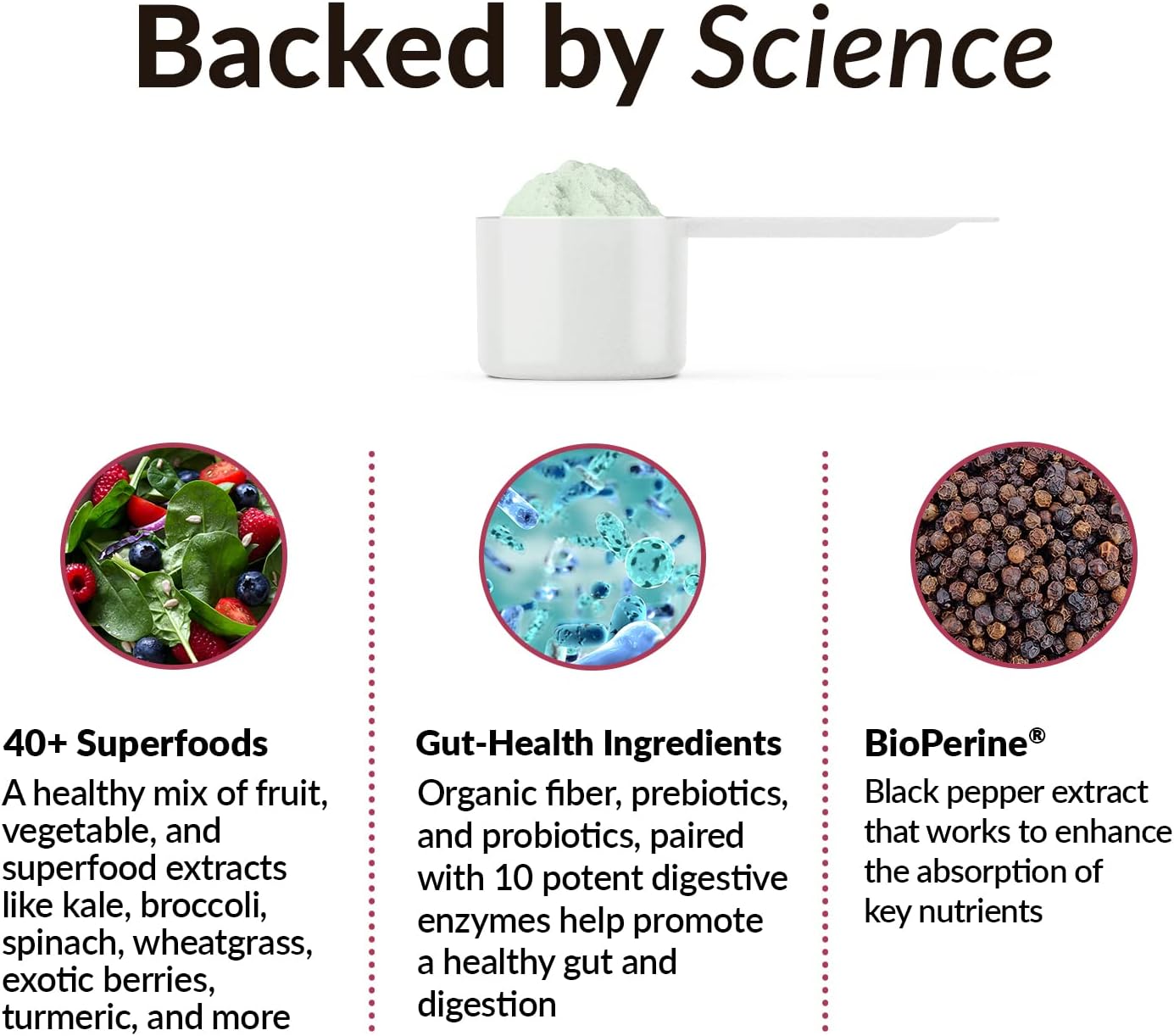 Force Factor Total Beets & Smarter Greens Superfood Powder for Energy, Immunity, and Circulation Boost