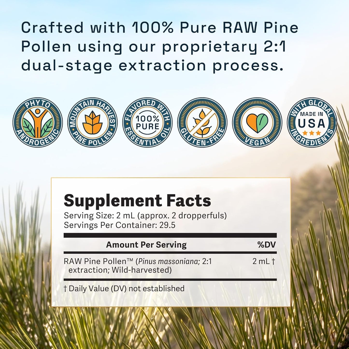 Forest Aurum Pine Pollen Nectar Tincture - 2:1 Dual-Stage Extract - Pure Pine Pollen Tincture - 2 oz Bottle