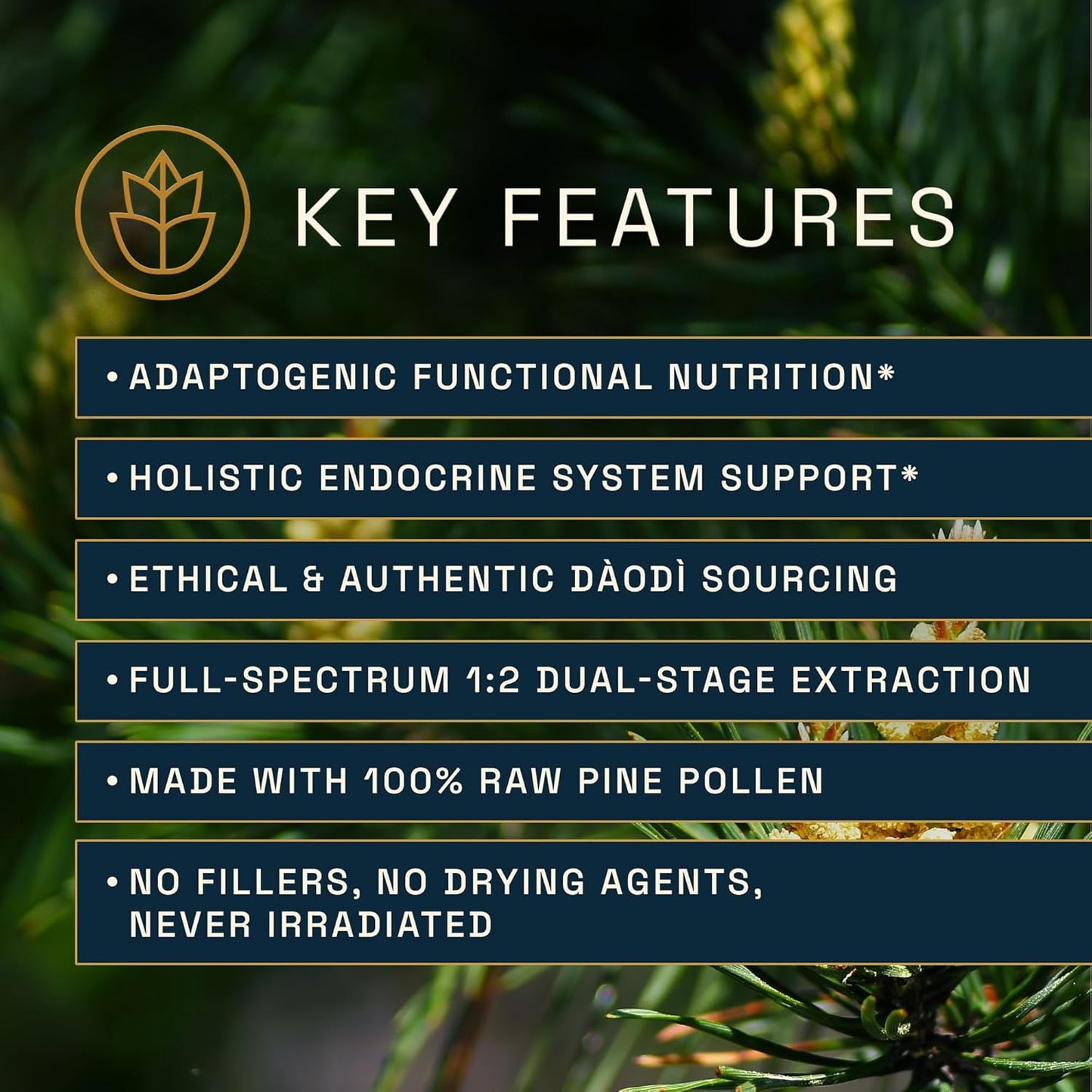 Forest Manna Royal Pine Pollen Tincture - 1:2 Dual-Stage Extraction - 4oz Bottle of Pure RAW Pine Pollen Tincture