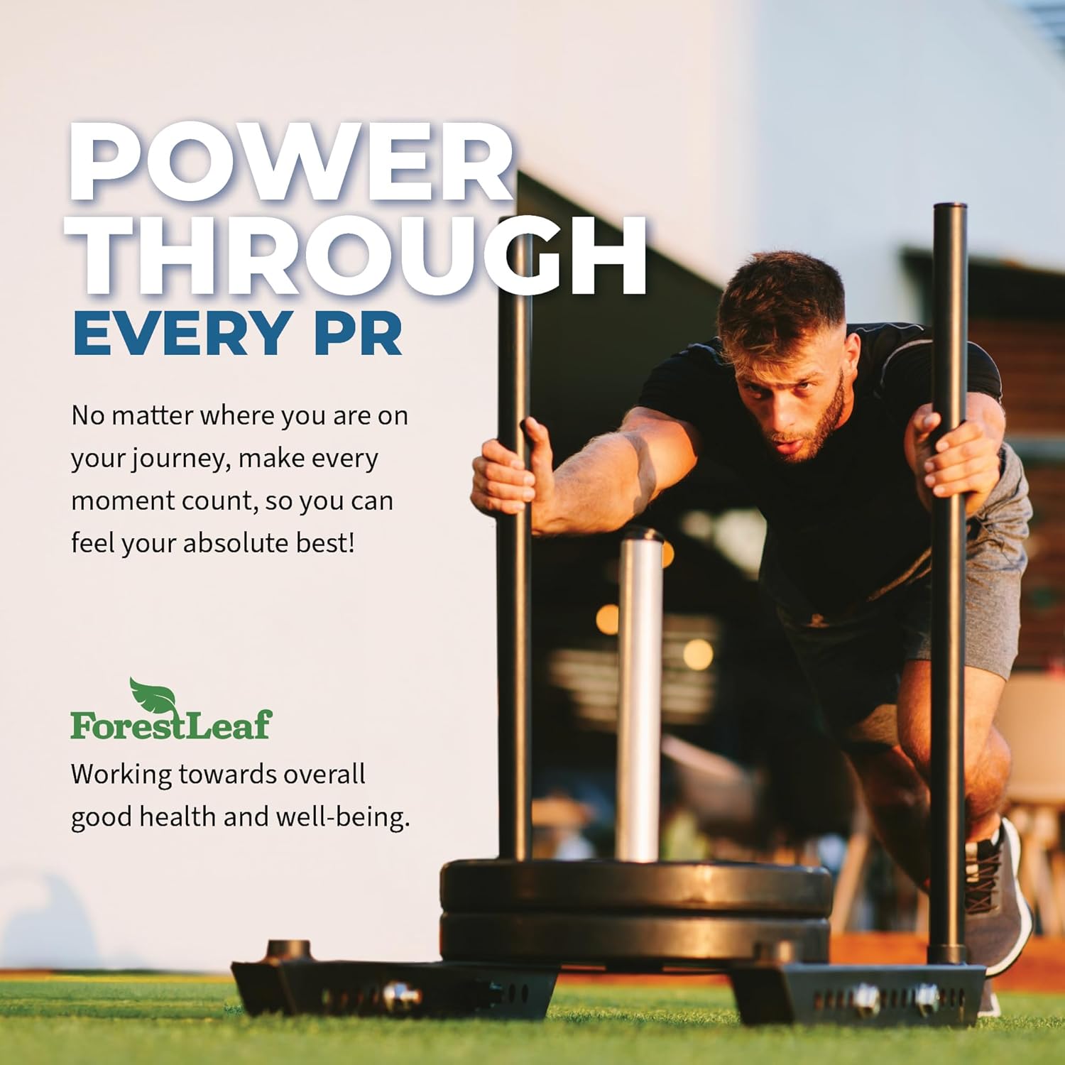 ForestLeaf Maximum Strength Tongkat Ali & Fadogia Agrestis Extract with BioPerine - 300g Longjack Tongkat Ali Capsules for Test, Muscle, and Strength Support