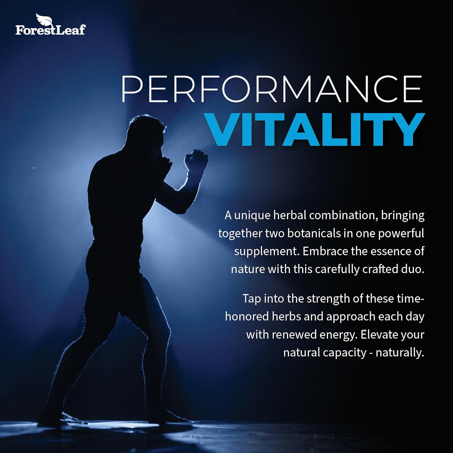 ForestLeaf Maximum Strength Tongkat Ali & Fadogia Agrestis Extract with BioPerine - 300g Longjack Tongkat Ali Capsules for Test, Muscle, and Strength Support