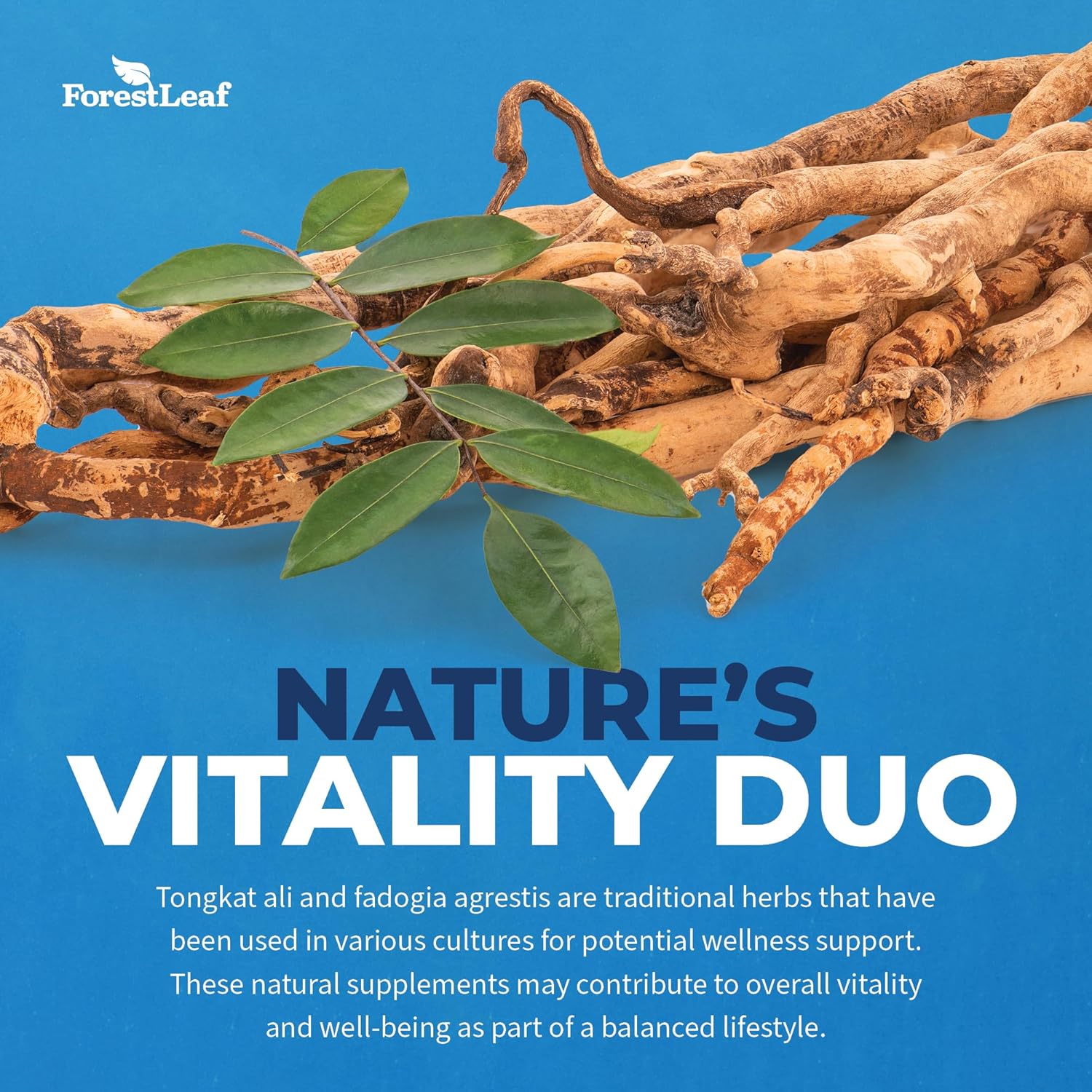 ForestLeaf Maximum Strength Tongkat Ali & Fadogia Agrestis Extract with BioPerine - 300g Longjack Tongkat Ali Capsules for Test, Muscle, and Strength Support