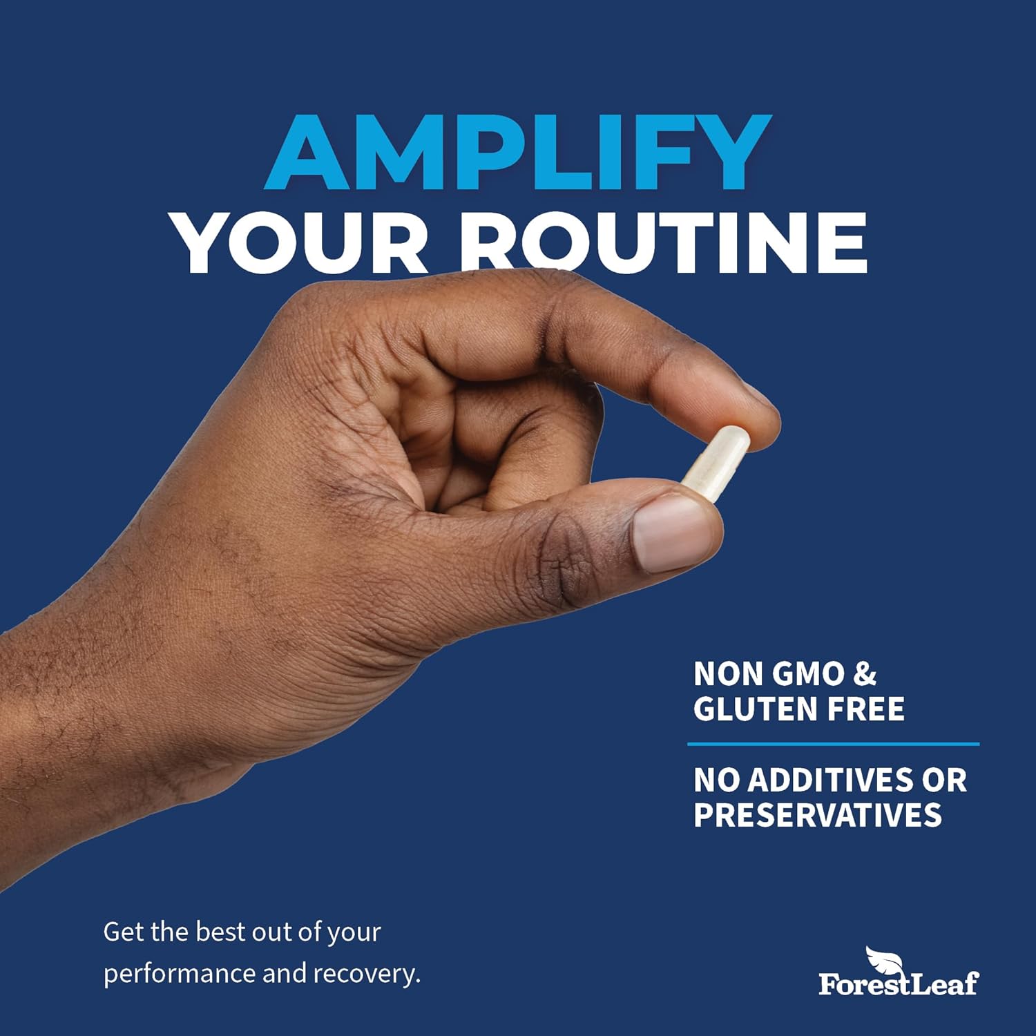 ForestLeaf Maximum Strength Tongkat Ali & Fadogia Agrestis Extract with BioPerine - 300g Longjack Tongkat Ali Capsules for Test, Muscle, and Strength Support