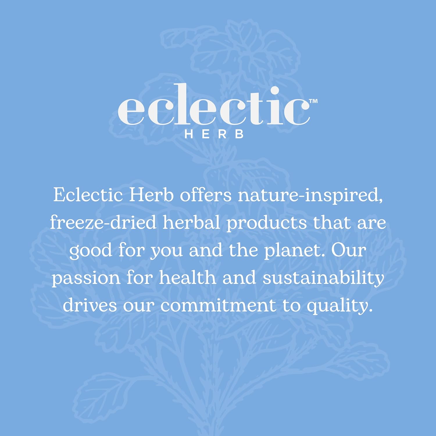 Freeze-Dried Cranberry Supplement | 120 Count | Eclectic Institute Organic U.S.-Grown Whole Berry