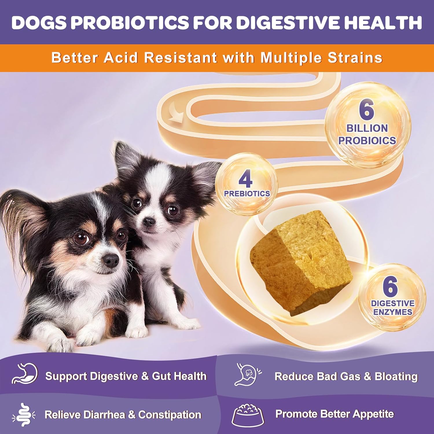 Freeze Dried Dog Probiotics with Prebiotics & Enzymes - 6 Billion CFUs for Diarrhea & Gas Relief, Skin & Immune Health - 180 Count