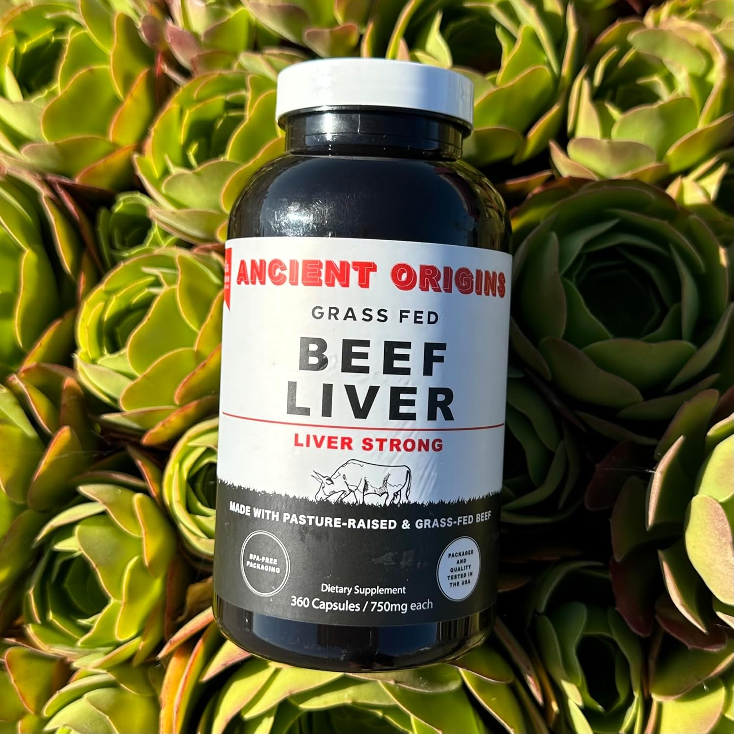 Freeze Dried Grass Fed Beef Liver Capsules for Energy, Cleansing, Digestion, Immunity - 360 Capsules