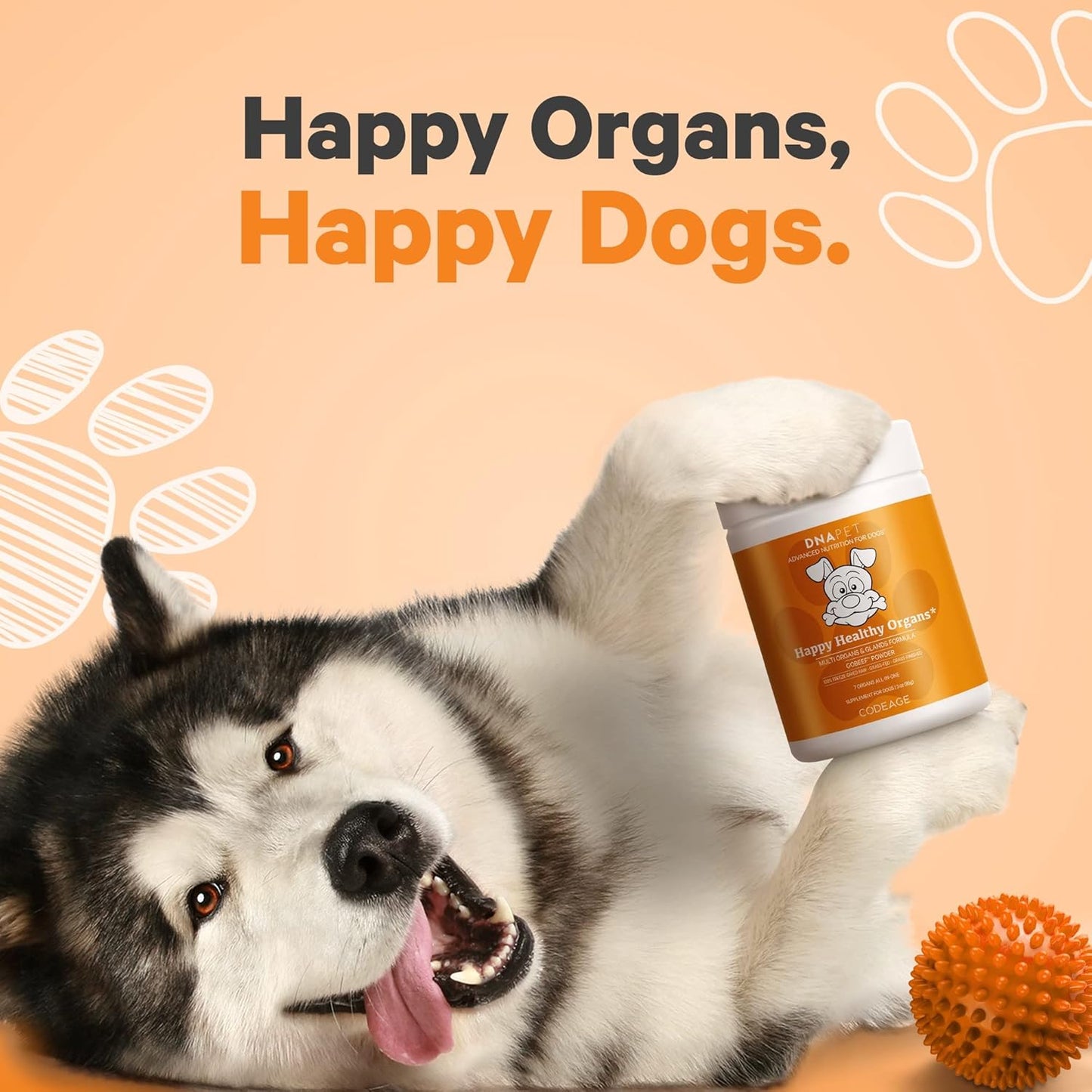 Freeze-Dried Raw Beef Organ Supplement for Dogs, Multi-Organ Powder with Canine Vitamins, 3 oz