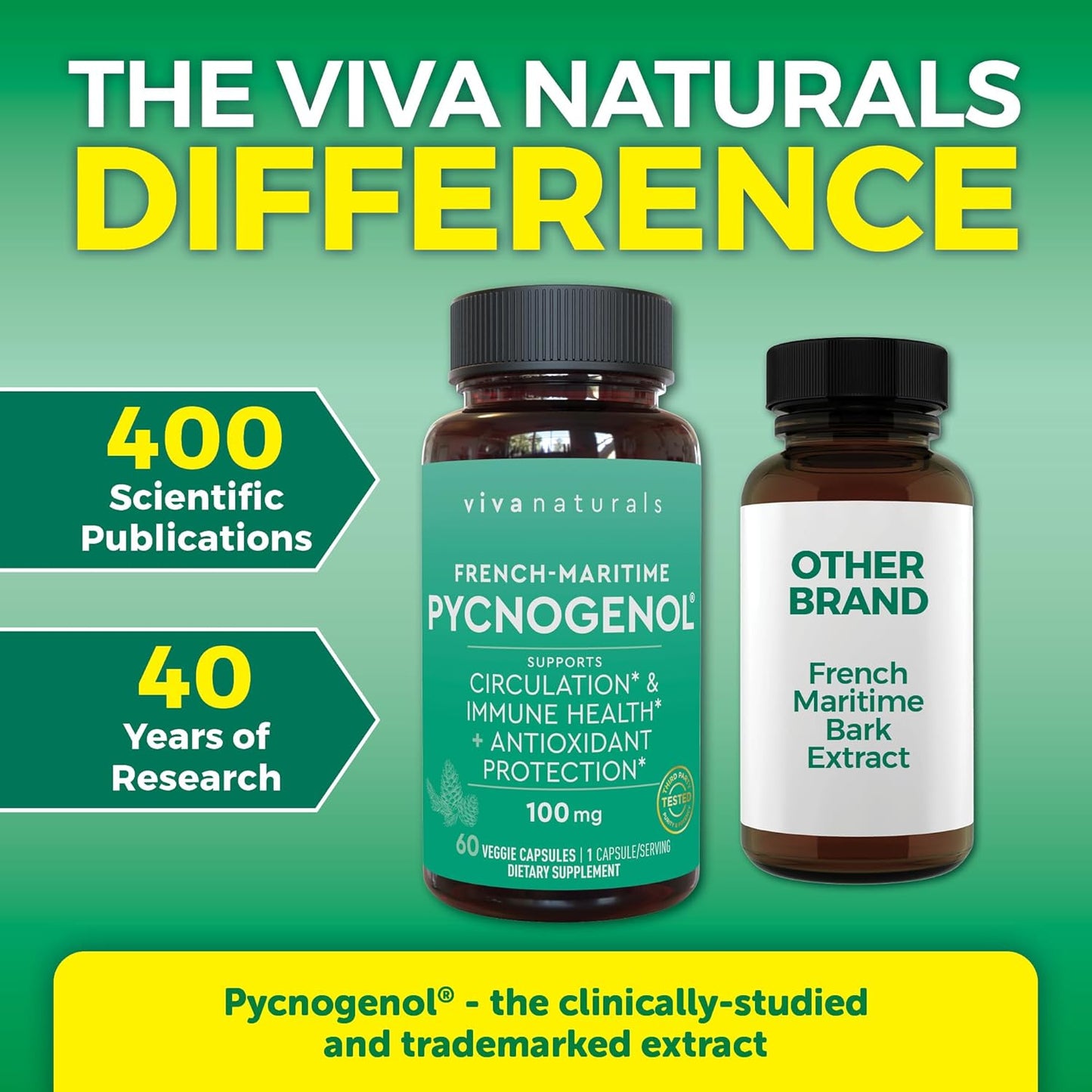 French Maritime Pine Bark Extract Capsules - 100mg Pycnogenol Supplements for Blood Circulation, Antioxidant & Joint Support - 60 Capsules