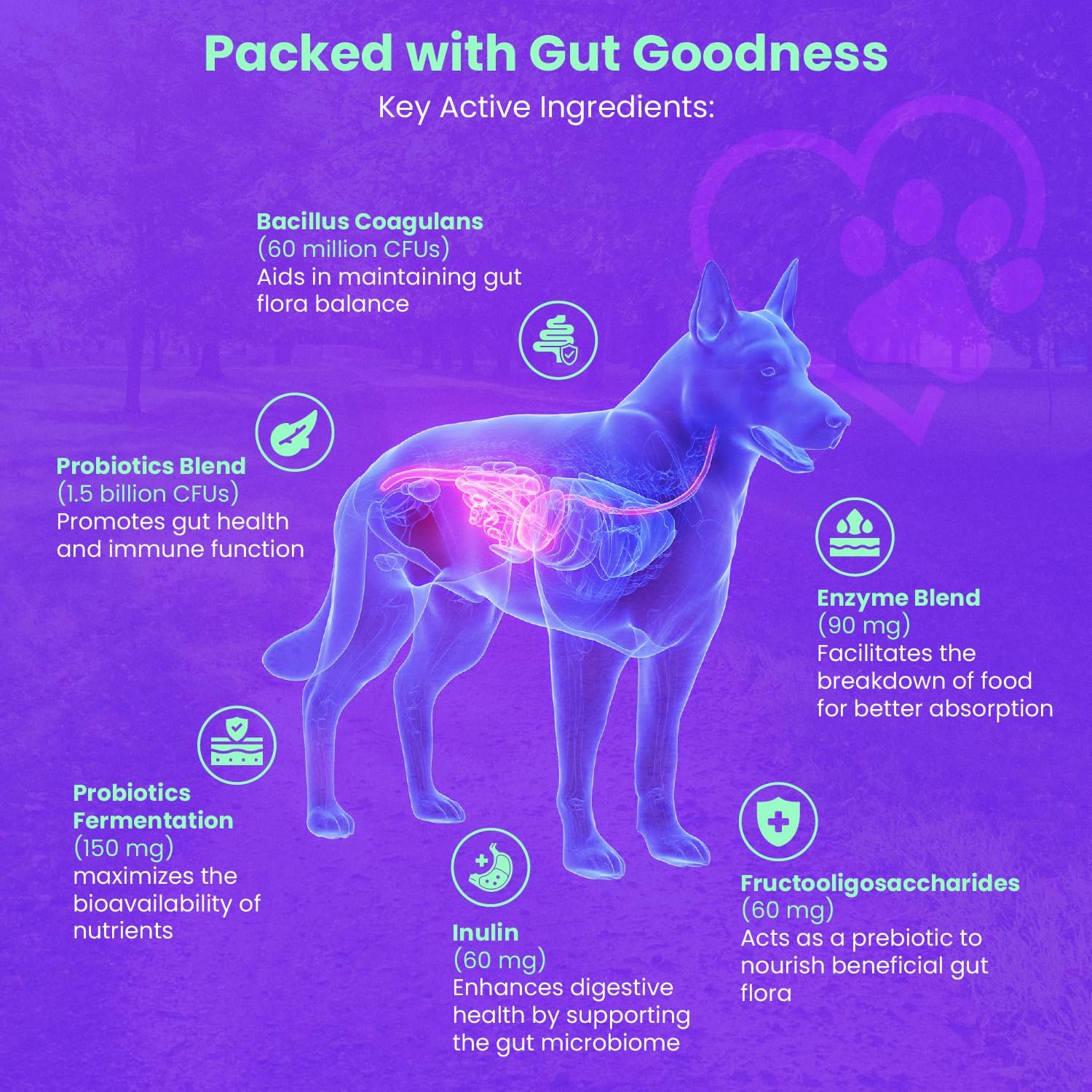 Freydell Pets Probiotics for Dogs - Relief for Upset Stomach, Diarrhea, and Yeast Infections - Fiber Supplement for Dogs of All Ages