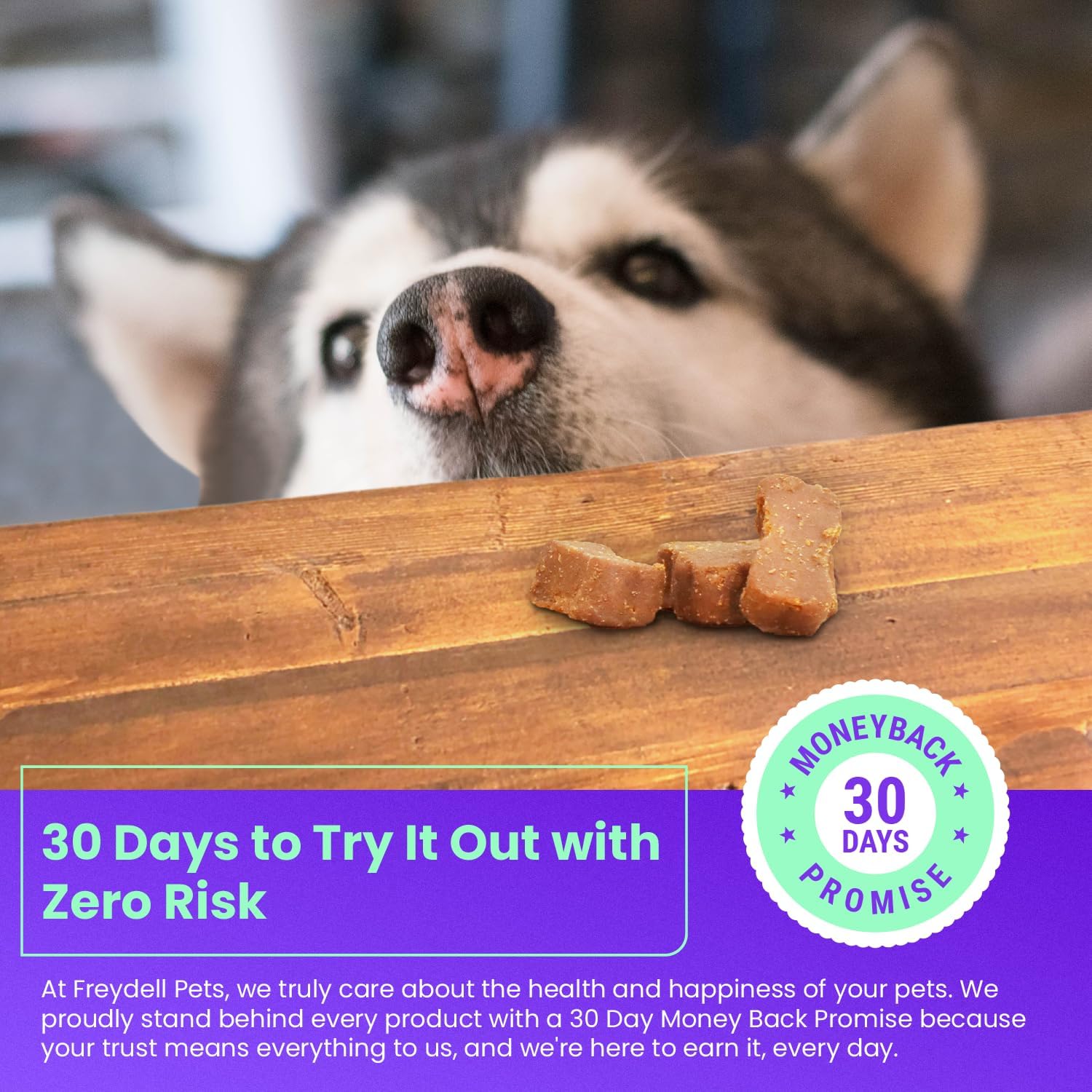 Freydell Pets Probiotics for Dogs - Relief for Upset Stomach, Diarrhea, and Yeast Infections - Fiber Supplement for Dogs of All Ages