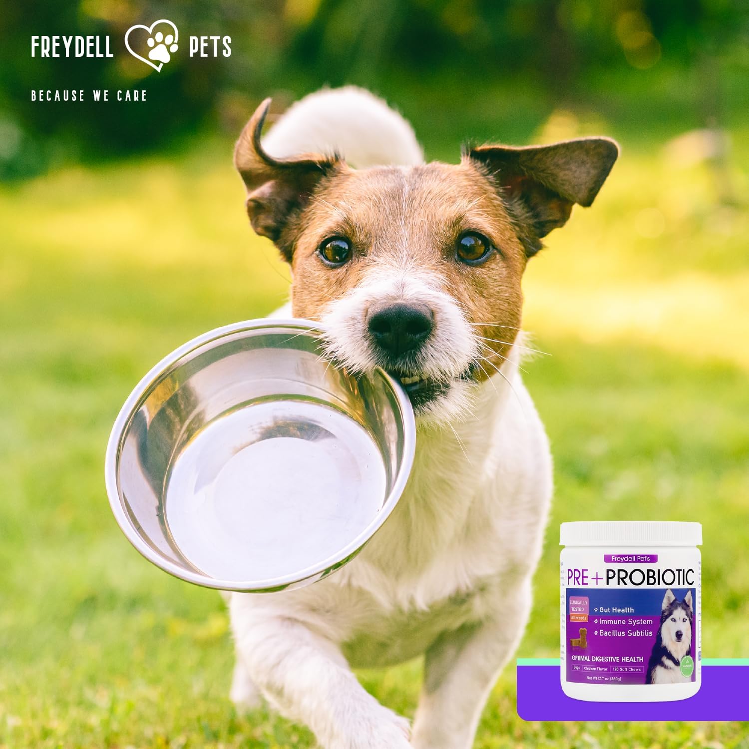 Freydell Pets Probiotics for Dogs - Relief for Upset Stomach, Diarrhea, and Yeast Infections - Fiber Supplement for Dogs of All Ages