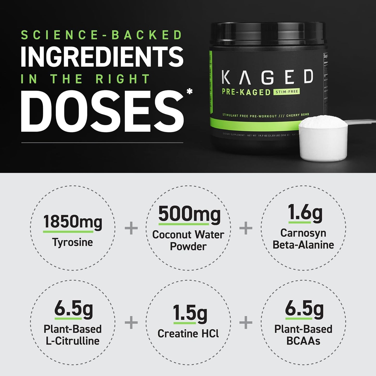 Fruit Punch Pre-Kaged Stimulant-Free Pre Workout Powder with Creatine & Beta Alanine - No Jitters - 20 Servings