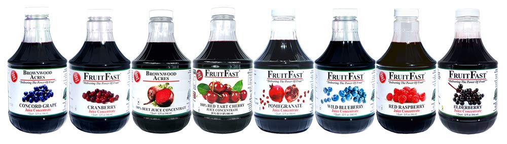 FruitFast Elderberry Juice Concentrate (128 fl. oz. - 4 Pack) | Unsweetened, Non GMO, Gluten Free - Boosts Immune System*