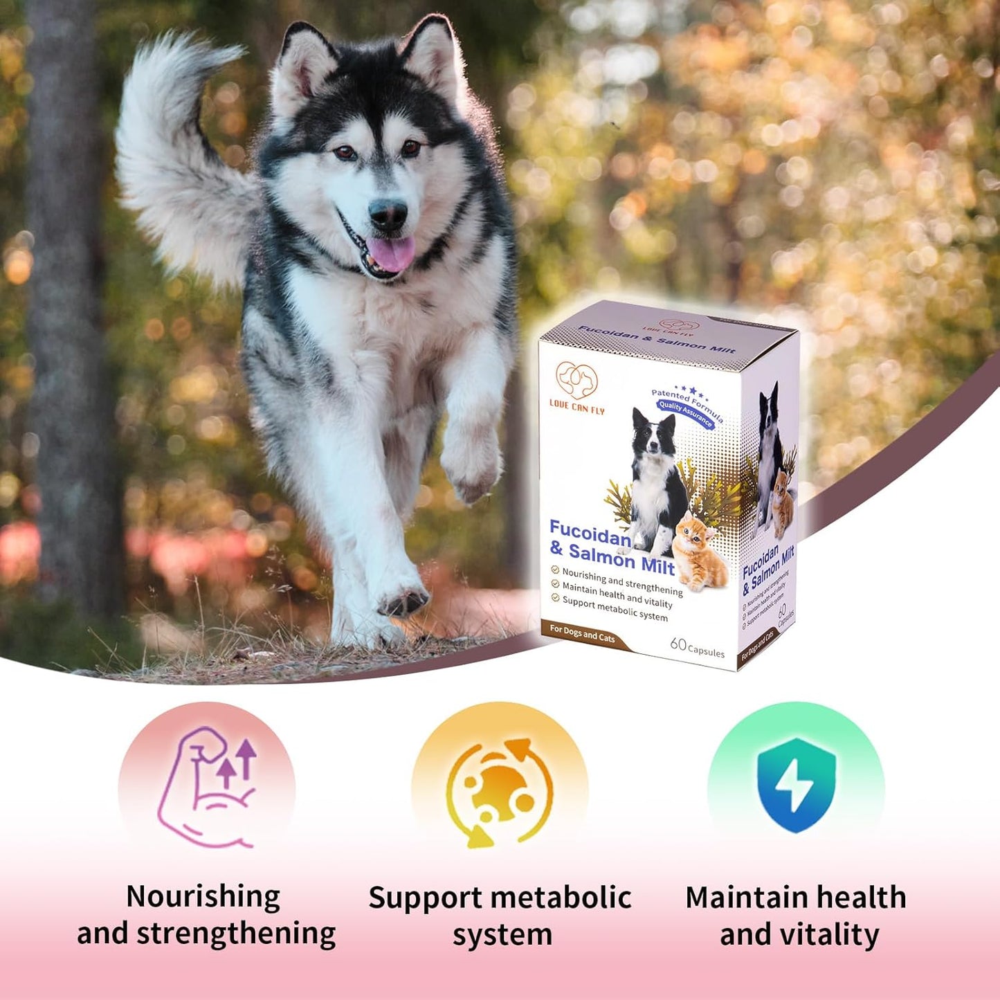 Fucoidan & Salmon Milt Immune Support Supplement for Dogs and Cats - Boost Immune System, Revitalize Health - 60 Capsules