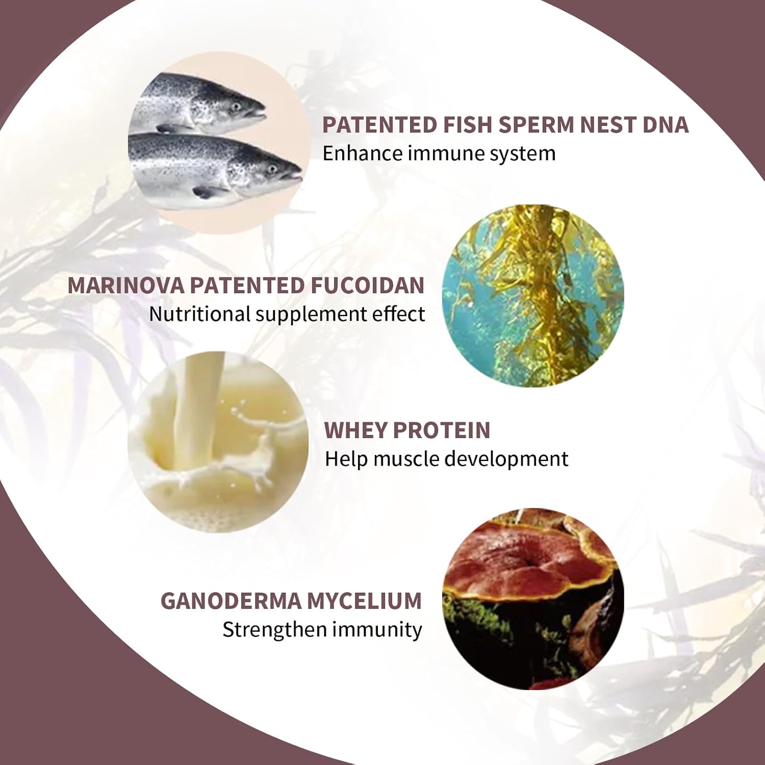 Fucoidan & Salmon Milt Immune Support Supplement for Dogs and Cats - Boost Immune System, Revitalize Health - 60 Capsules